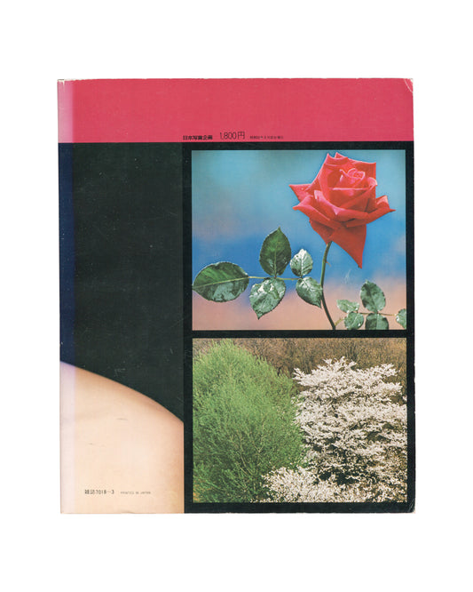 Shotaro Akiyama, Watashi no Shigoto / My Work, 1976, back cover, red rose, flowering cherry trees, cropped nude torso