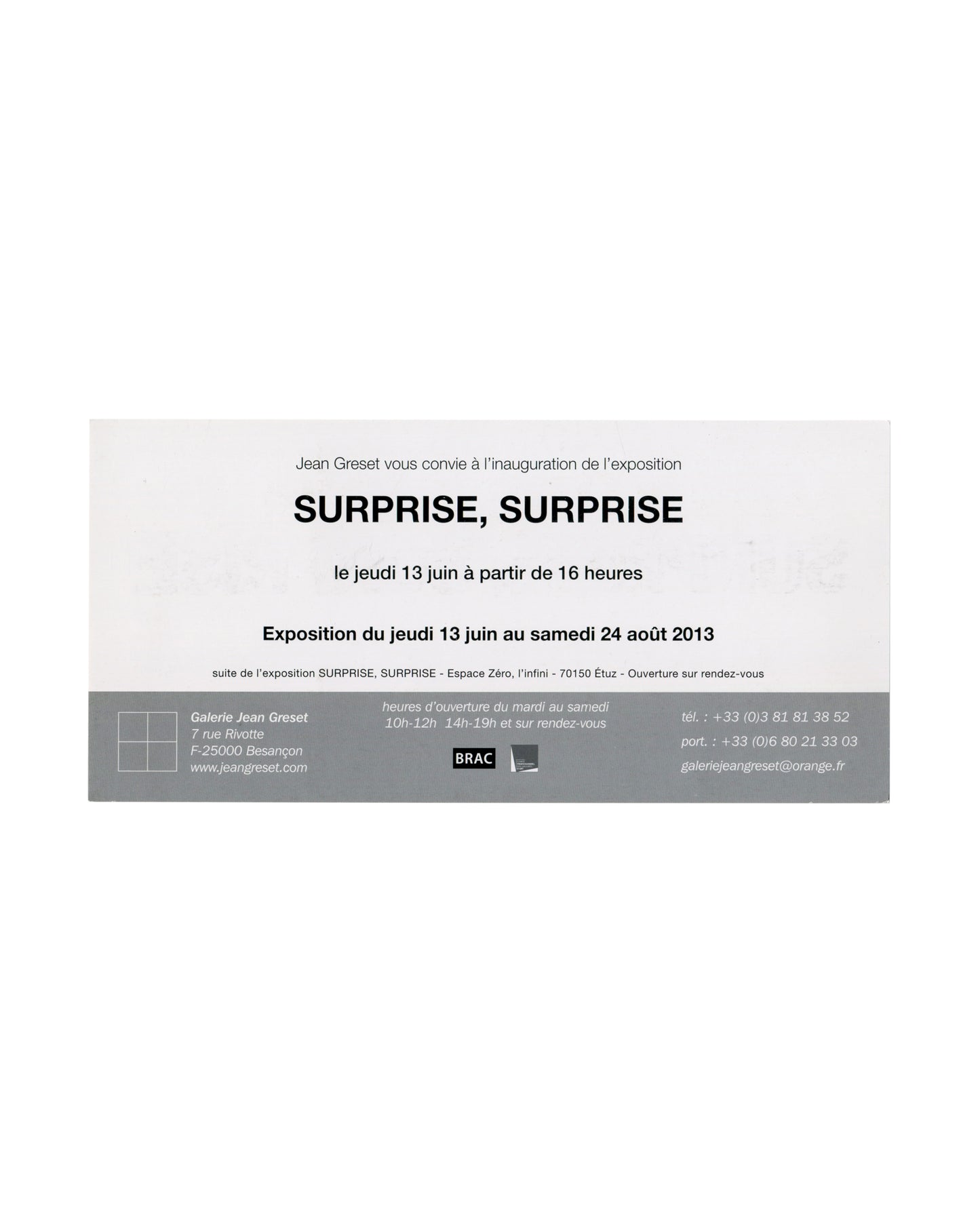 BERNARD AUBERTIN et. al., SURPRISE, SURPRISE — Galerie Jean Greset, Besançon, 2013