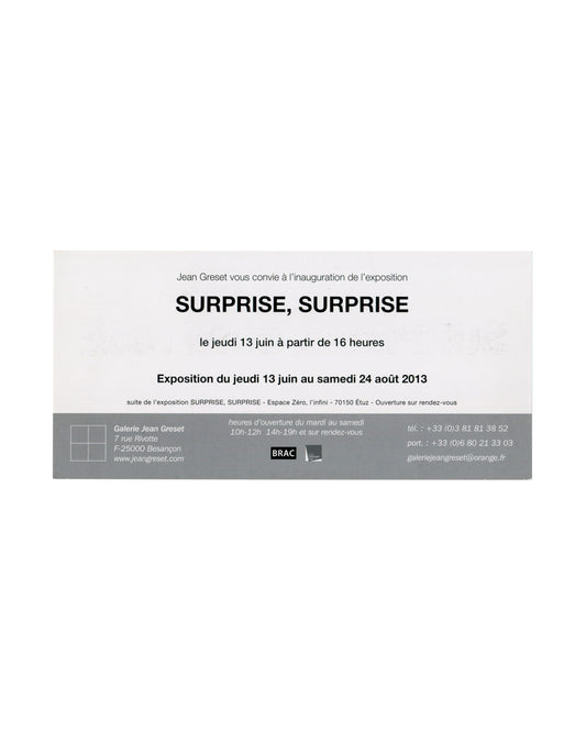 BERNARD AUBERTIN et. al., SURPRISE, SURPRISE — Galerie Jean Greset, Besançon, 2013