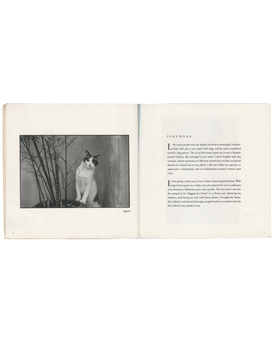 Tom Bianchi, Living with Dickens, 1994. Interior spread showing black-and-white photograph of cat named Ingrid seated among bare branches, facing right, opposite Foreword text. Softcover artist book, square format, cream pages.