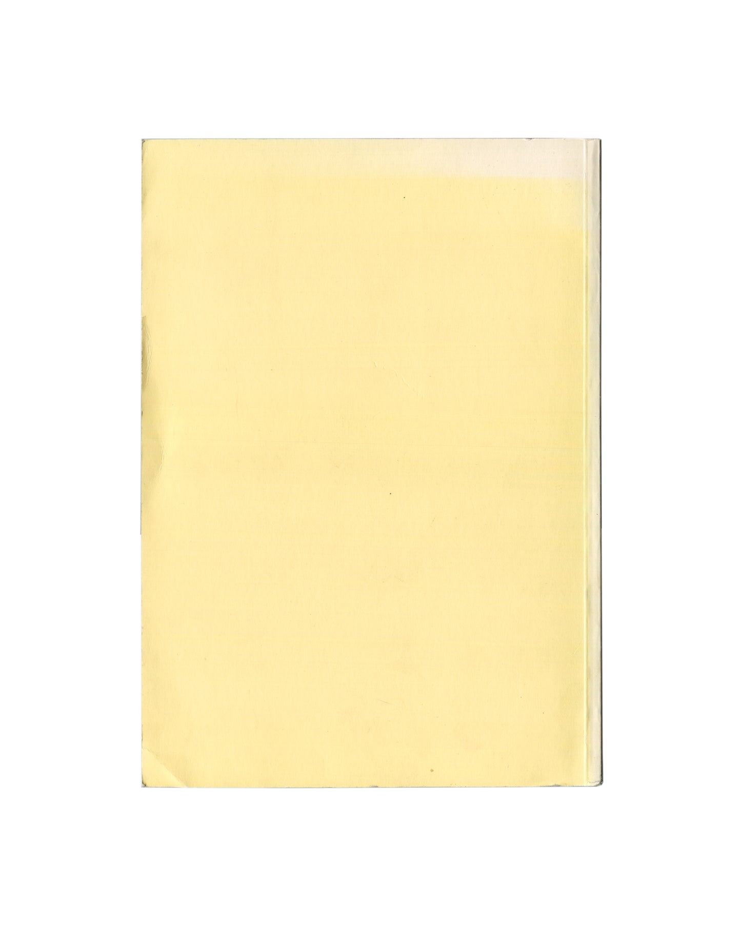 Reverse of Zoe Leonard, Secession, Wiener Secession, Vienna, 1997, showing a plain pale yellow cover with no text or imagery, the colour matching the title typography on the front.