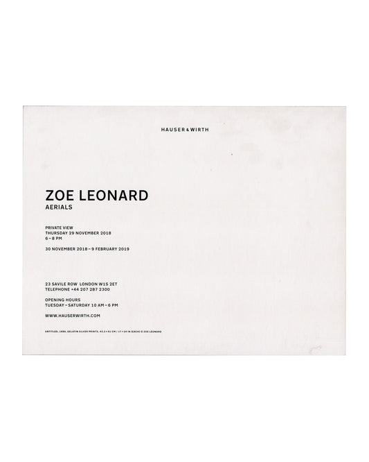 ZOE LEONARD — Aerials. Hauser & Wirth, London, 2018