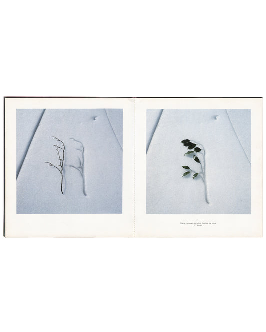 Nils-Udo, Deux Saisons, interior spread: bare twig and leafed branch on snow, winter 1987