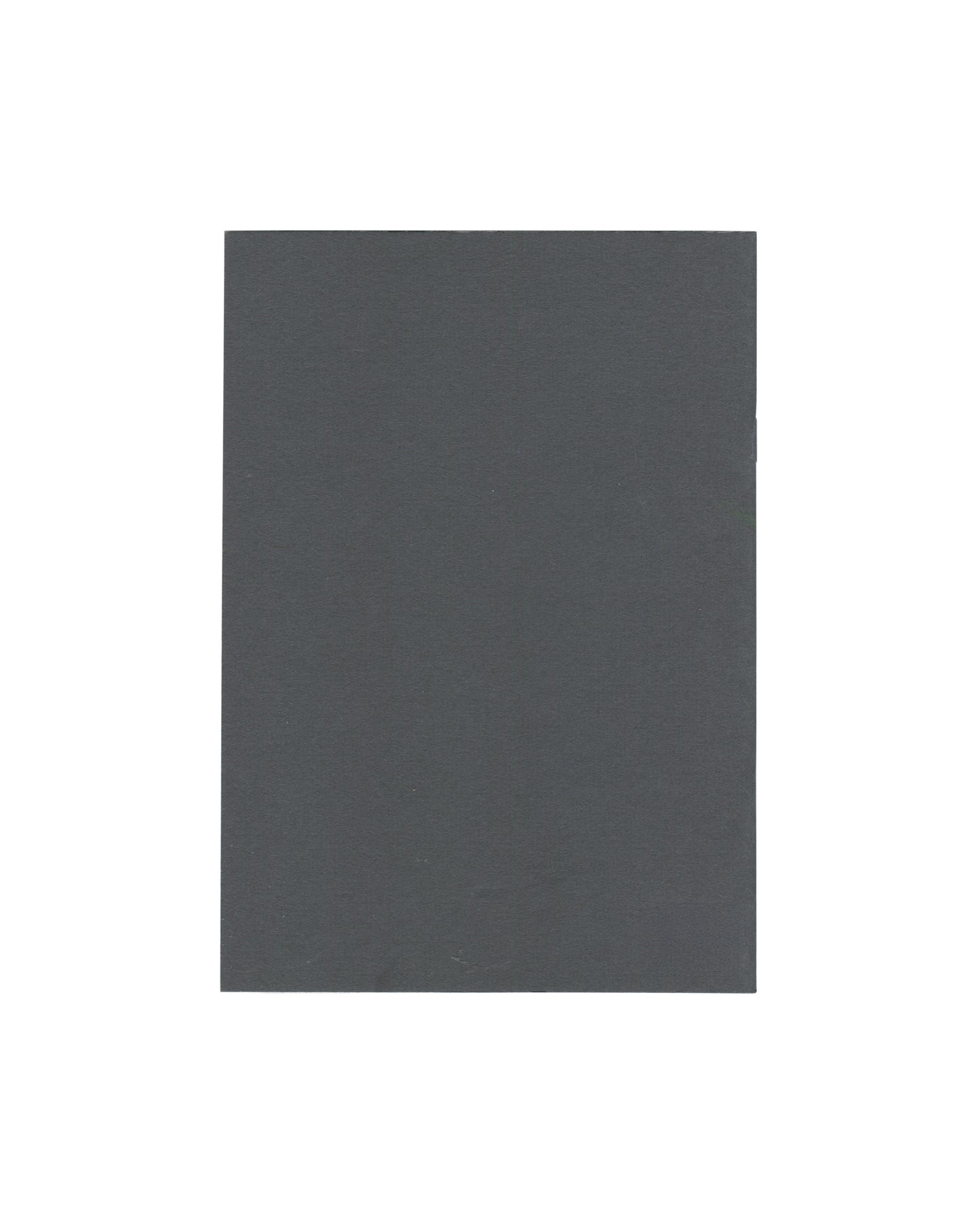 Reverse of Erwin Wurm, Kunstverein in Hamburg / Villa Arson, Nice, 1993, showing a plain dark grey-green cover with no text or imagery.