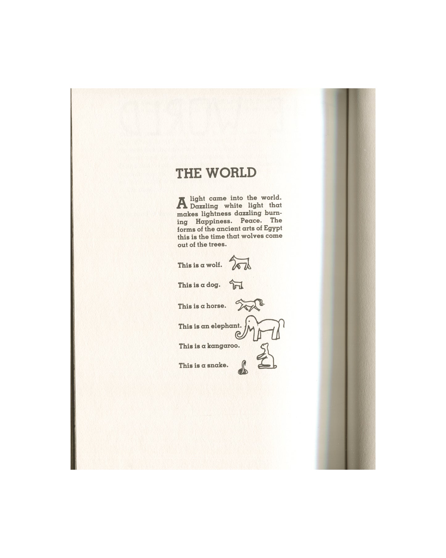 Kathy Acker — Blood and Guts in High School, Grove Press, 1984 — interior page. Section heading "THE WORLD" in bold serif type. Opening paragraph beginning "A light came into the world. Dazzling white light…" followed by a vocabulary list with small line-drawn animal symbols: wolf, dog, horse, elephant, kangaroo, snake — each labelled "This is a [animal]." with a corresponding Egyptian-style hieroglyphic figure. Cream paper, black ink.