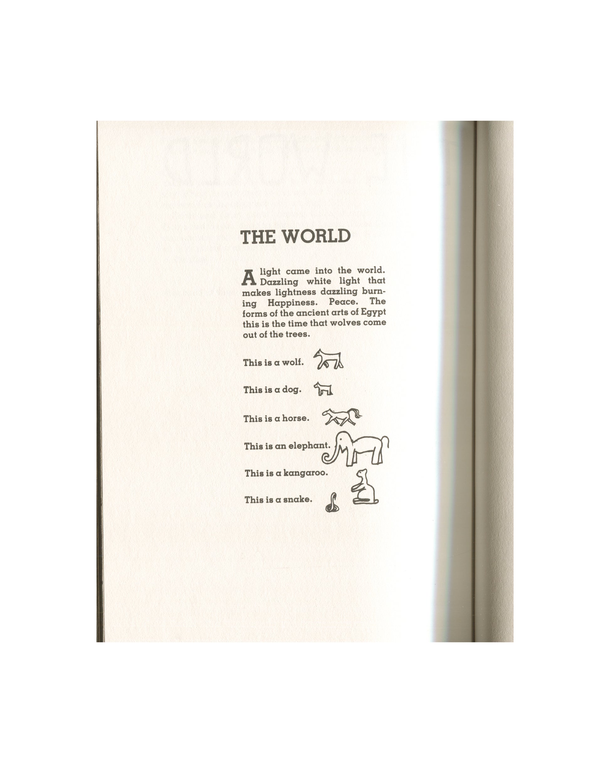 Kathy Acker — Blood and Guts in High School, Grove Press, 1984 — interior page. Section heading "THE WORLD" in bold serif type. Opening paragraph beginning "A light came into the world. Dazzling white light…" followed by a vocabulary list with small line-drawn animal symbols: wolf, dog, horse, elephant, kangaroo, snake — each labelled "This is a [animal]." with a corresponding Egyptian-style hieroglyphic figure. Cream paper, black ink.