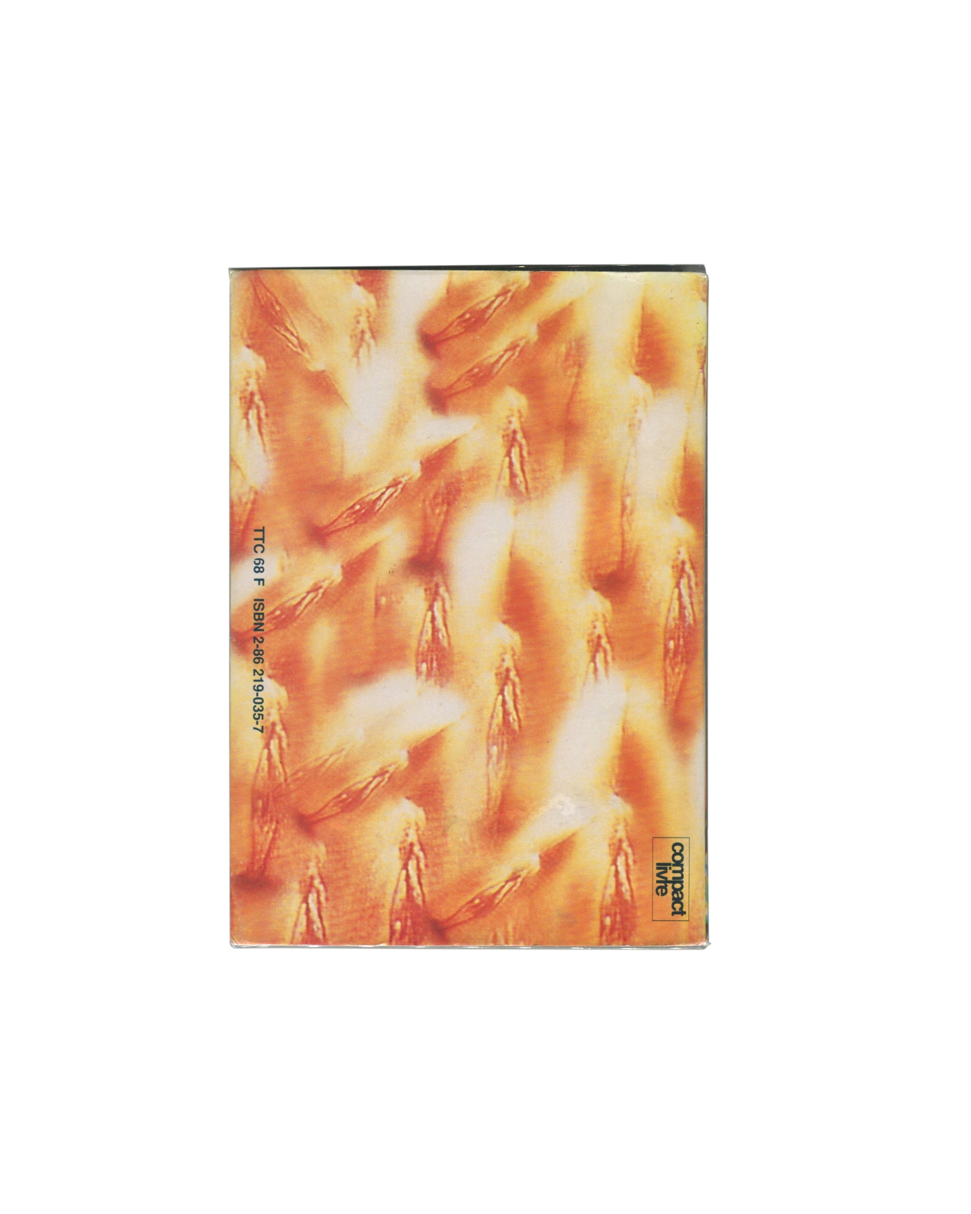 Back cover of 1988 Kathy Acker Algeria French edition, Le Dernier Terrain Vague / DTV Compact Livre, Paris — full-bleed image by Kiki Picasso: dense field of small human figures rendered in warm amber, orange, and white tones against a glowing ground, figures repeated across the surface in a pattern suggesting mass, heat, and dissolution; TTC 69 F / ISBN 2-86219-035-7 printed vertically at left; compact livre logo in black square at lower right.