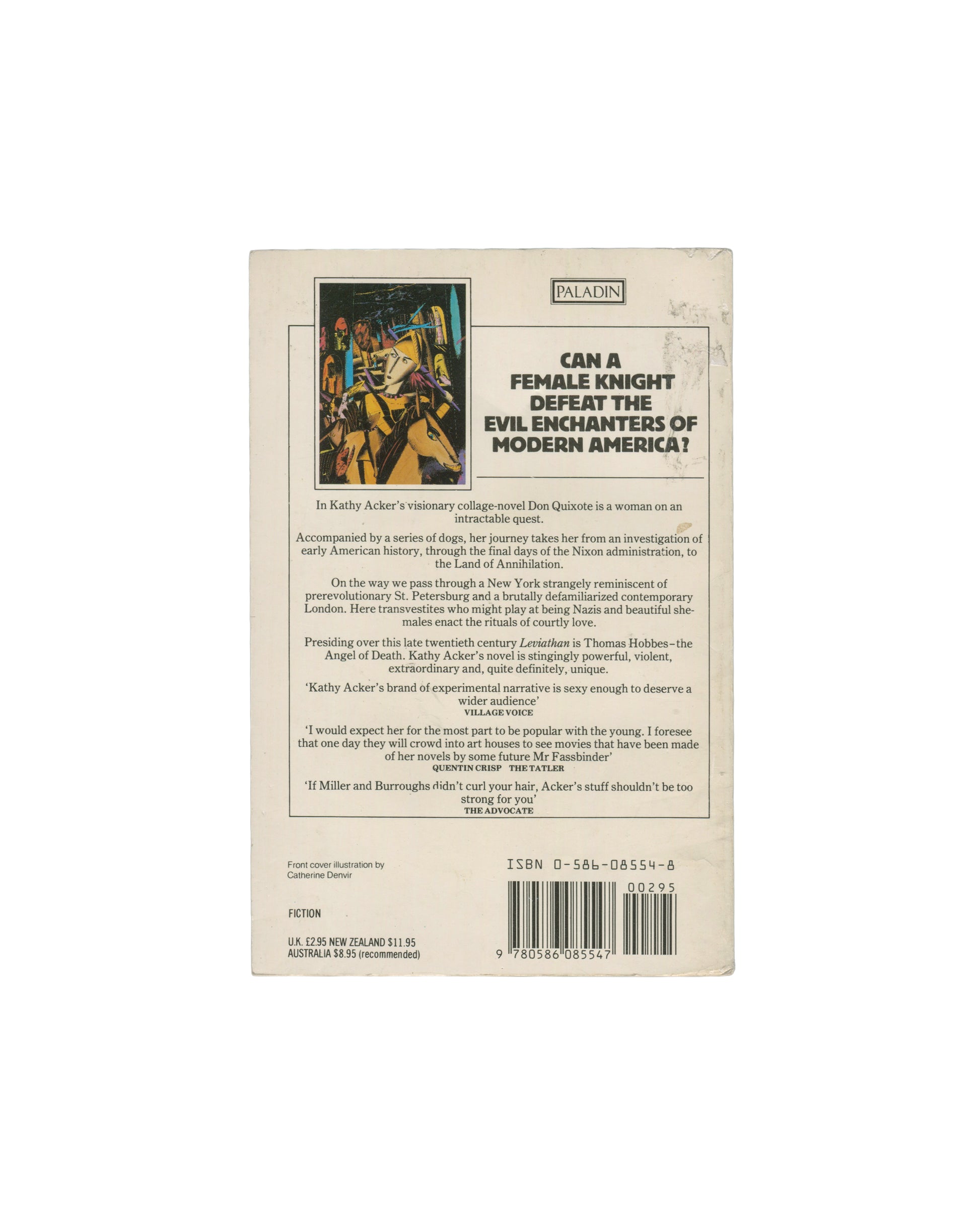 The back cover of the book 'Can a Female Knight Defeat the Evil Enchanters of Modern America' by Kathy Acker, featuring a beige background with a small illustration and text.