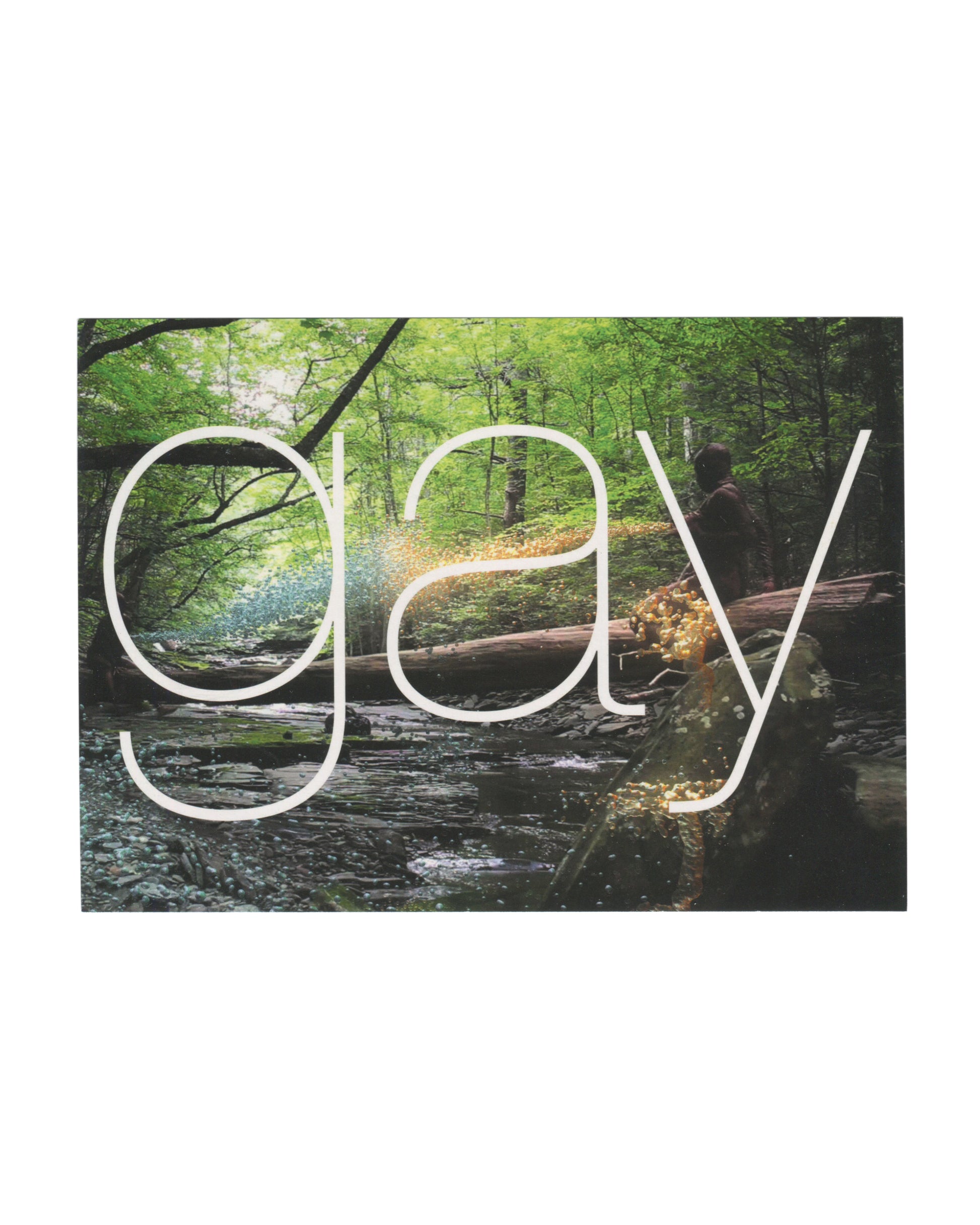 Original 2014 GAY exhibition announcement card, Bronx Council on the Arts and Longwood Arts Project, New York, featuring a lush green woodland stream and fallen tree with large thin white lowercase typography spelling 'gay' across the full-colour landscape image.