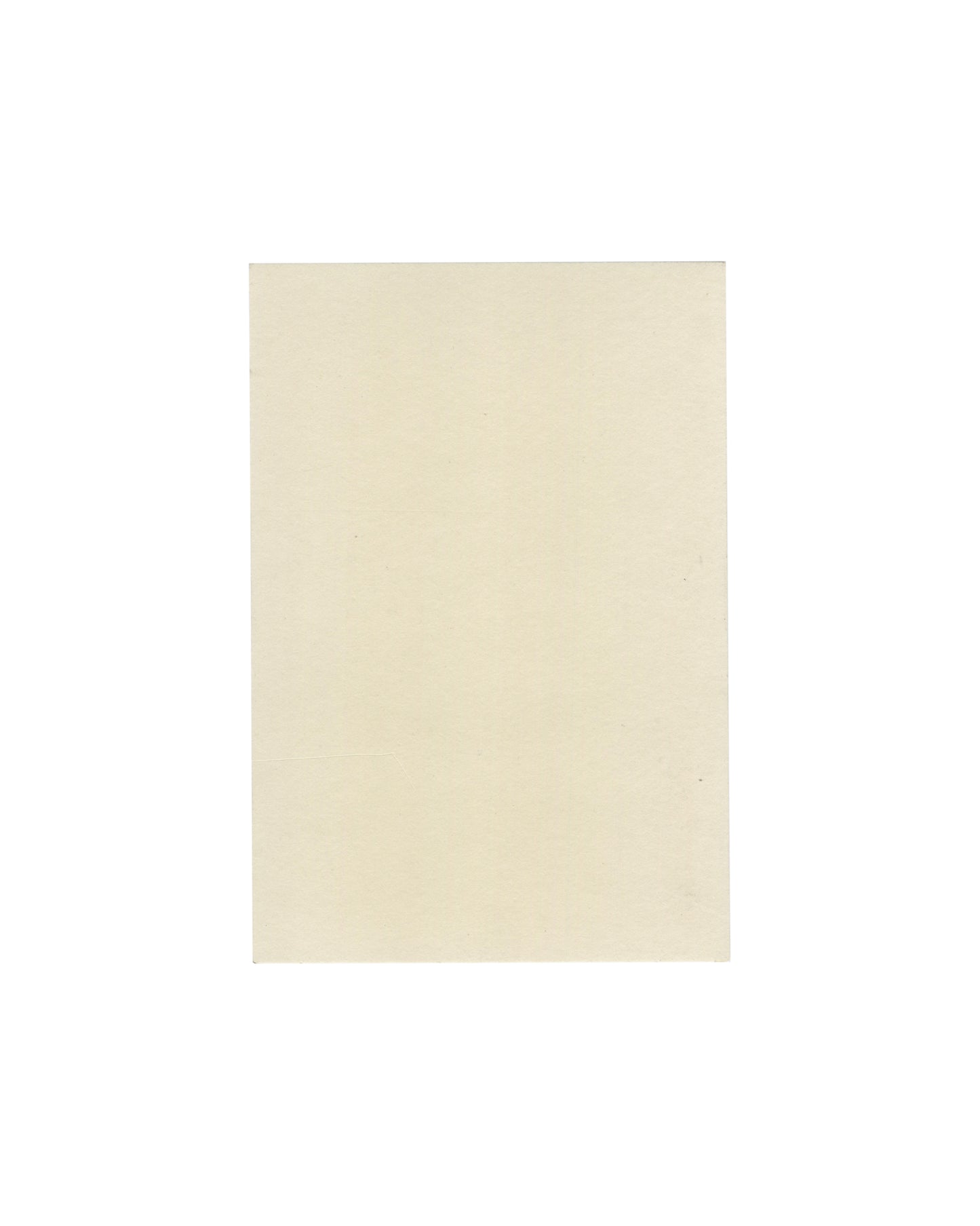 JANINE ANTONI, CHARLES ATLAS, PIPILOTTI RIST, RACHEL WHITEREAD, CHRISTOPHER WOOL et al.: Luhring Augustine — Artist Representation Card, New York, c. 2015–16