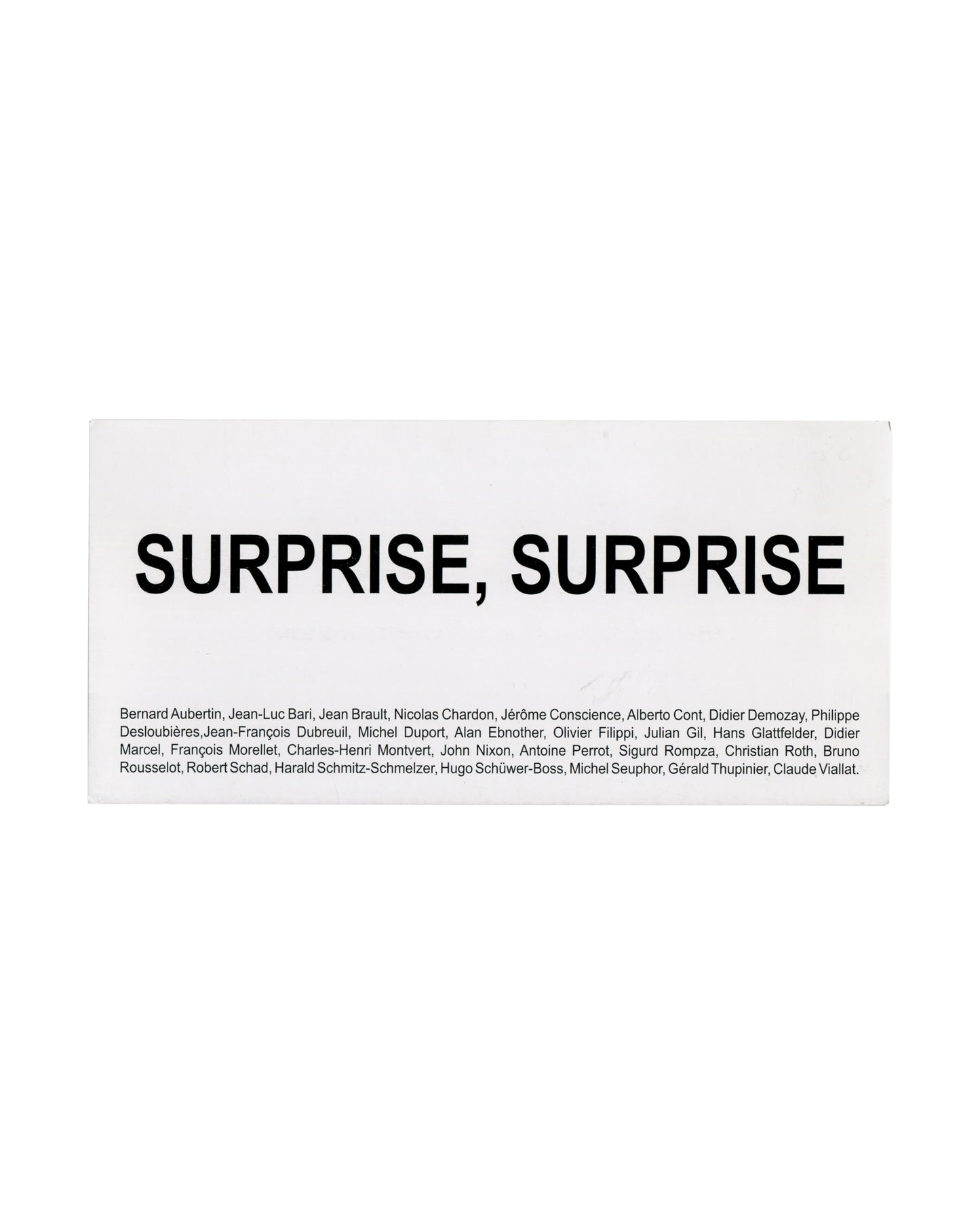 BERNARD AUBERTIN et. al., SURPRISE, SURPRISE — Galerie Jean Greset, Besançon, 2013