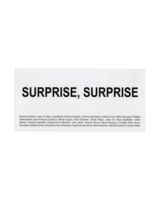 BERNARD AUBERTIN et. al., SURPRISE, SURPRISE — Galerie Jean Greset, Besançon, 2013