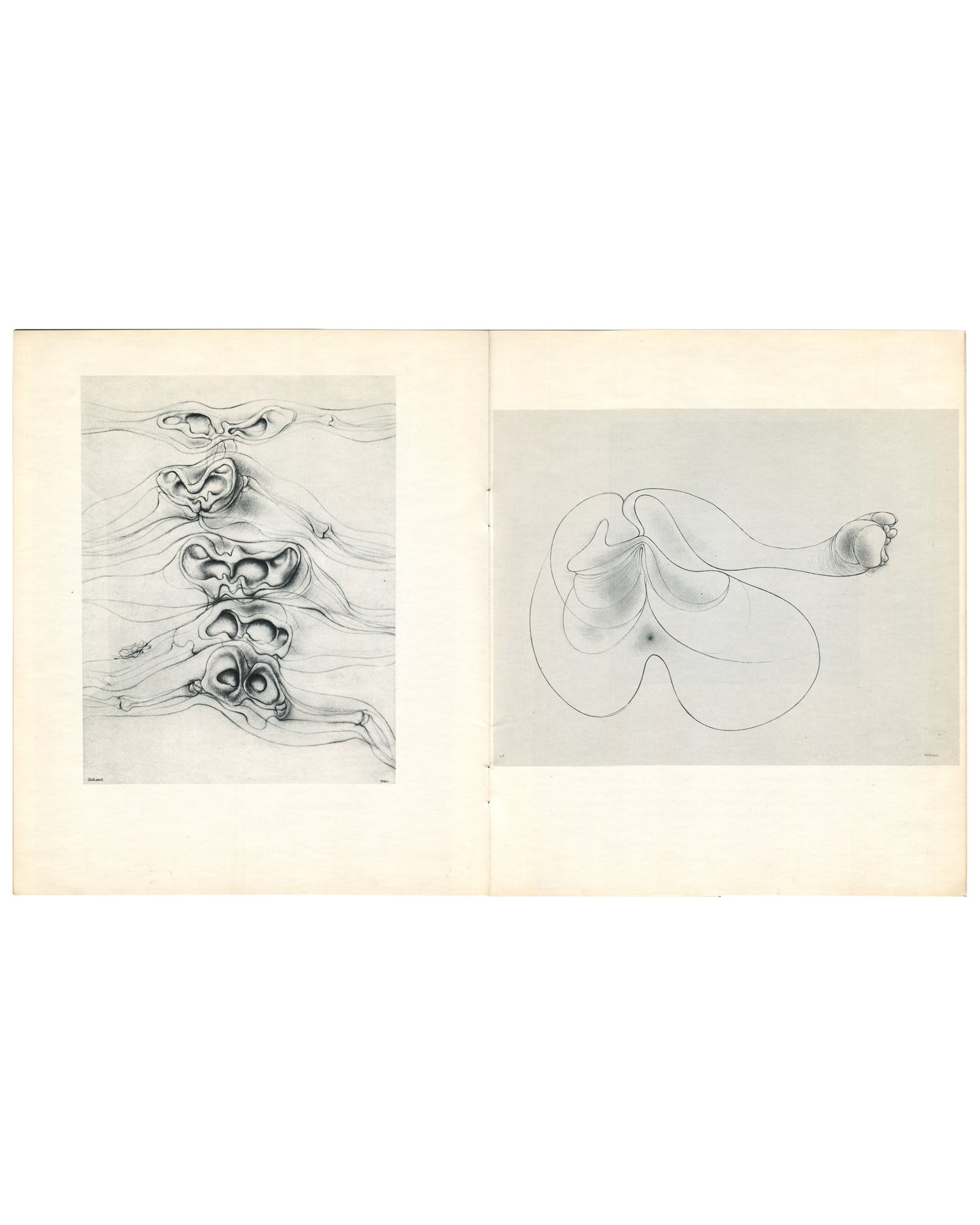 Interior spread. Left: stacked, doubled anatomical cavities and folded organic forms in dense pencil shading. Right: reclining biomorphic figure reduced to a continuous contour enclosing a smooth swelling torso with a small spherical element at right.

