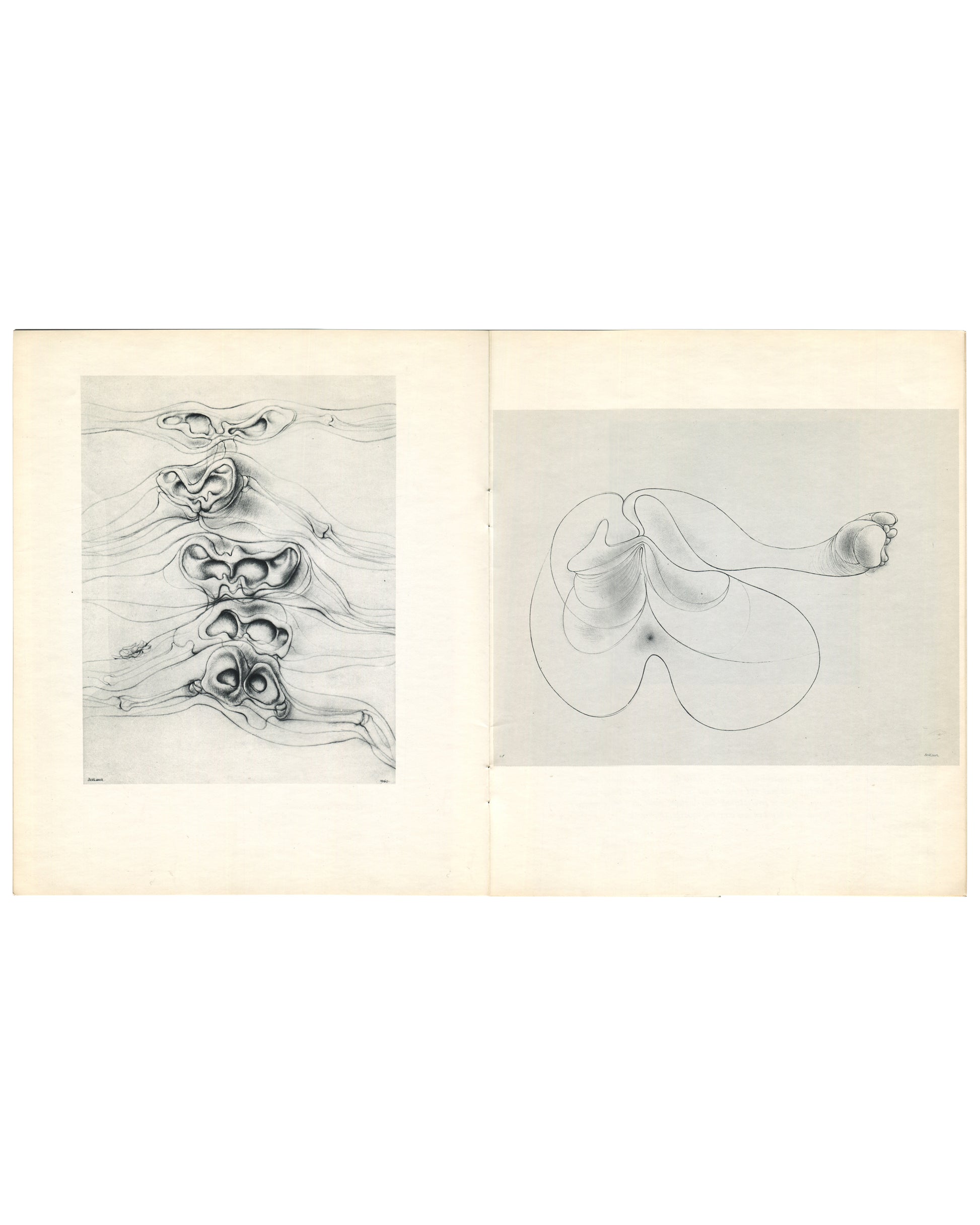 Interior spread. Left: stacked, doubled anatomical cavities and folded organic forms in dense pencil shading. Right: reclining biomorphic figure reduced to a continuous contour enclosing a smooth swelling torso with a small spherical element at right.

