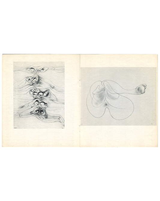 Interior spread. Left: stacked, doubled anatomical cavities and folded organic forms in dense pencil shading. Right: reclining biomorphic figure reduced to a continuous contour enclosing a smooth swelling torso with a small spherical element at right.

