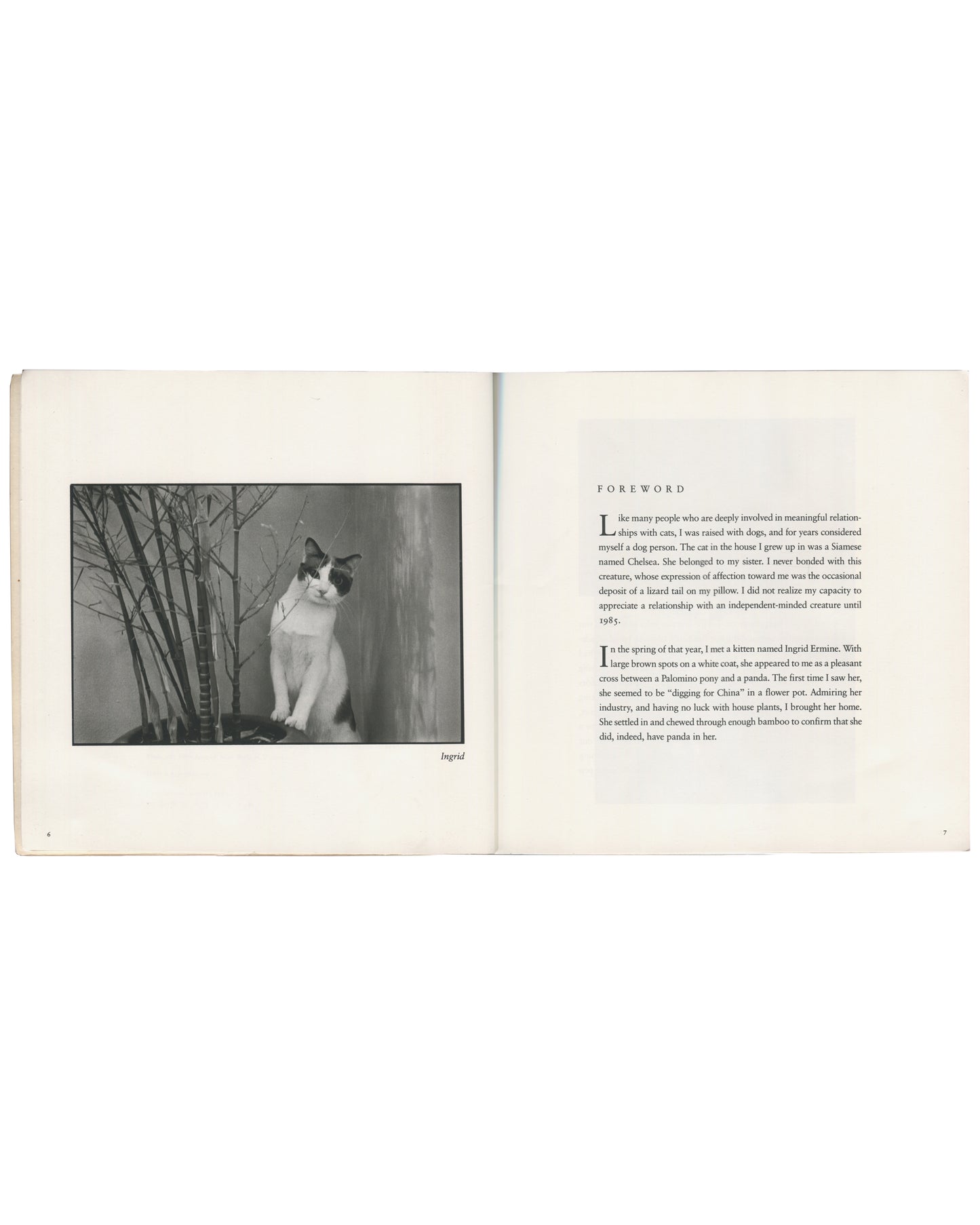 Tom Bianchi, Living with Dickens, 1994. Interior spread showing black-and-white photograph of cat named Ingrid seated among bare branches, facing right, opposite Foreword text. Softcover artist book, square format, cream pages.