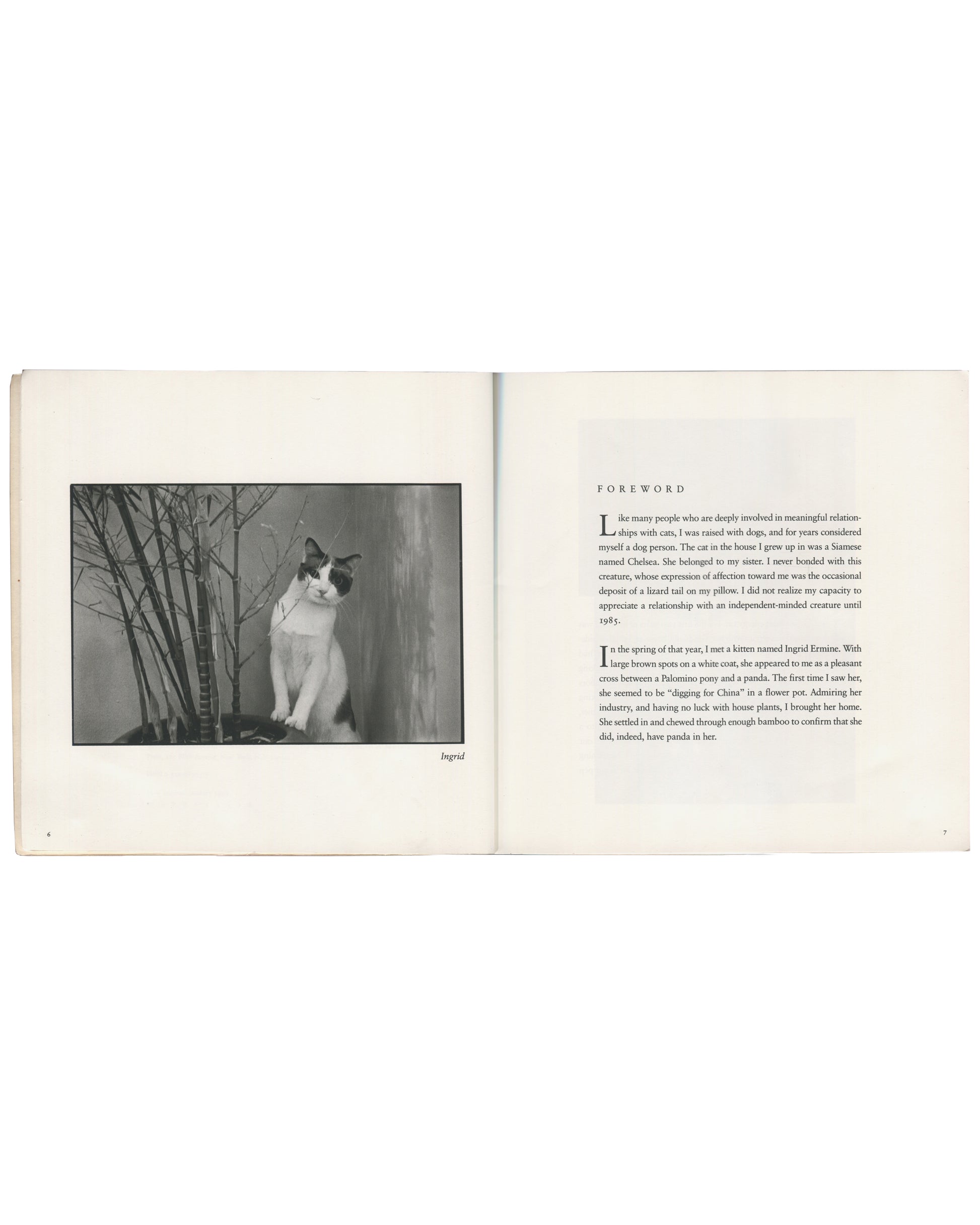Tom Bianchi, Living with Dickens, 1994. Interior spread showing black-and-white photograph of cat named Ingrid seated among bare branches, facing right, opposite Foreword text. Softcover artist book, square format, cream pages.