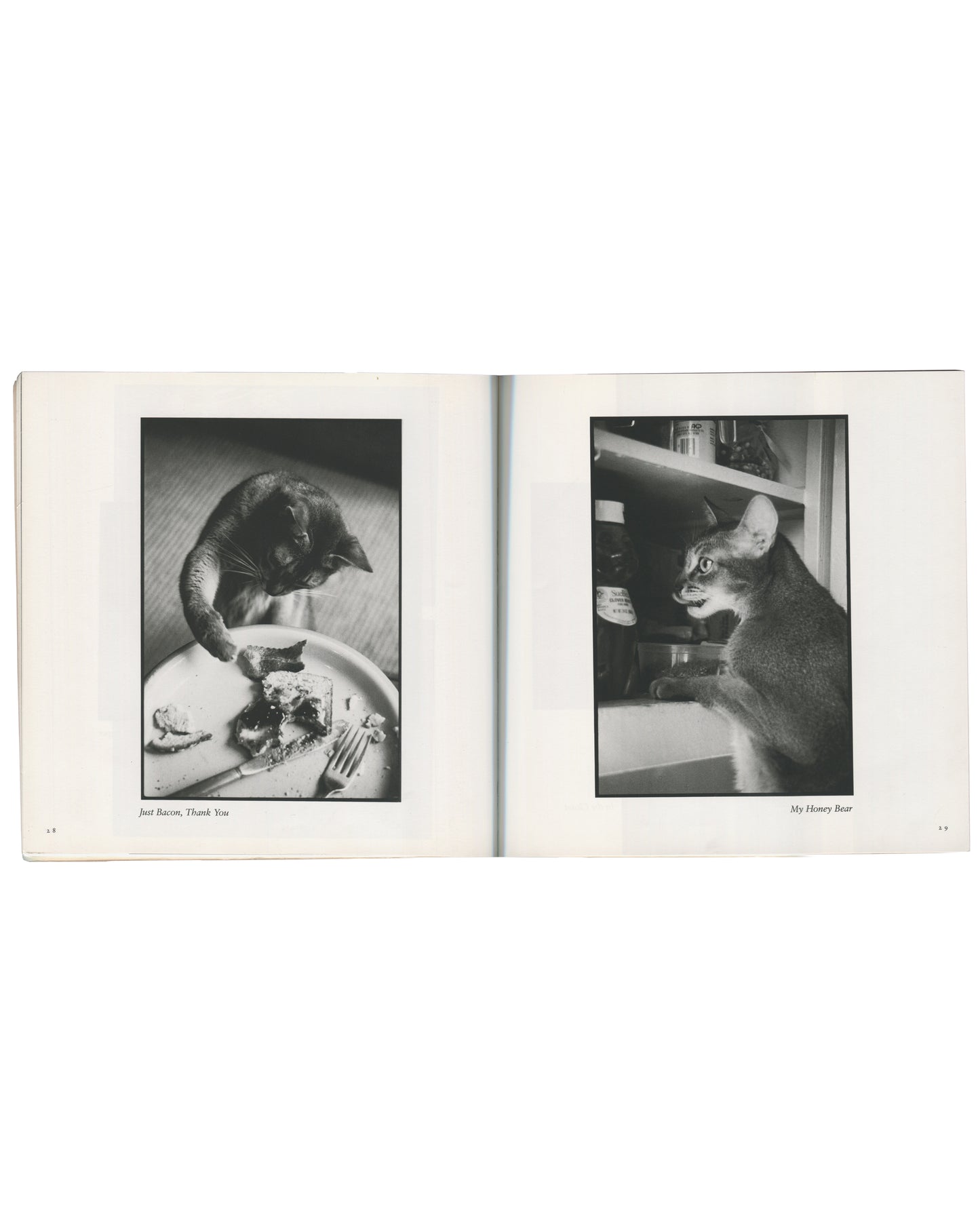 Tom Bianchi, Living with Dickens, 1994. Interior spread with two black-and-white photographs: left, dark cat eating from a plate captioned "Just Bacon, Thank You"; right, Abyssinian cat at kitchen shelf captioned "My Honey Bear". Square format, cream pages.