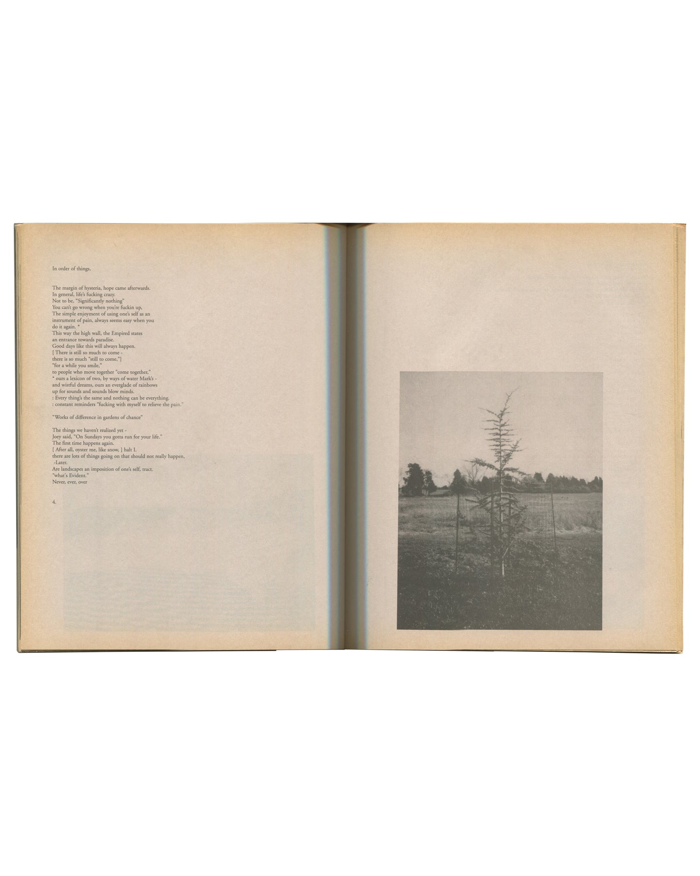 Interior spread of c. 2002 Mark Borthwick Social Documentaries Amid this Piste, self-published photocopy edition. Left page showing a typed poem headed 'In order of things.' in small serif type, thirteen lines of verse beginning 'The margin of flowers, hope-cause afterwards / by events dirty fucking away.' Right page showing a grayscale Xerox photograph of a lone young conifer tree in an open flat landscape, two thin bare saplings beside it, dark treeline and pale sky in the background. Page number 4 at low