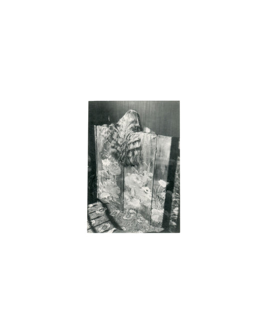 Édouard Boubat, Boubat par Boubat, ARC Musée d'Art moderne Paris 1980, figure turned away before floral folding screen