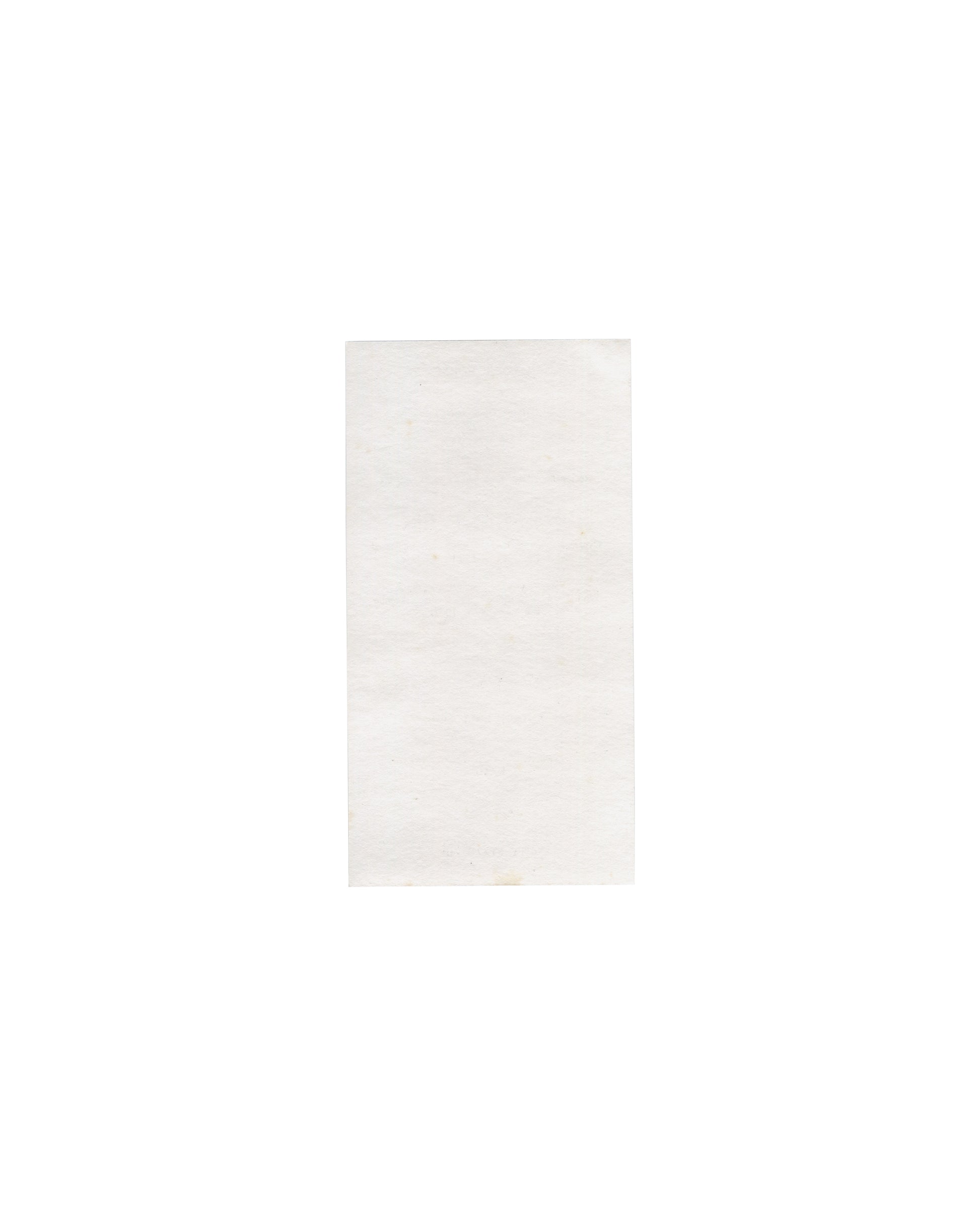 Ghost of Chance, William S. Burroughs / George Condo. Whitney Museum of American Art, New York, 1991. Separate original order form, back: plain white paper, blank, no text. Light toning and handling creases visible. Unsent.