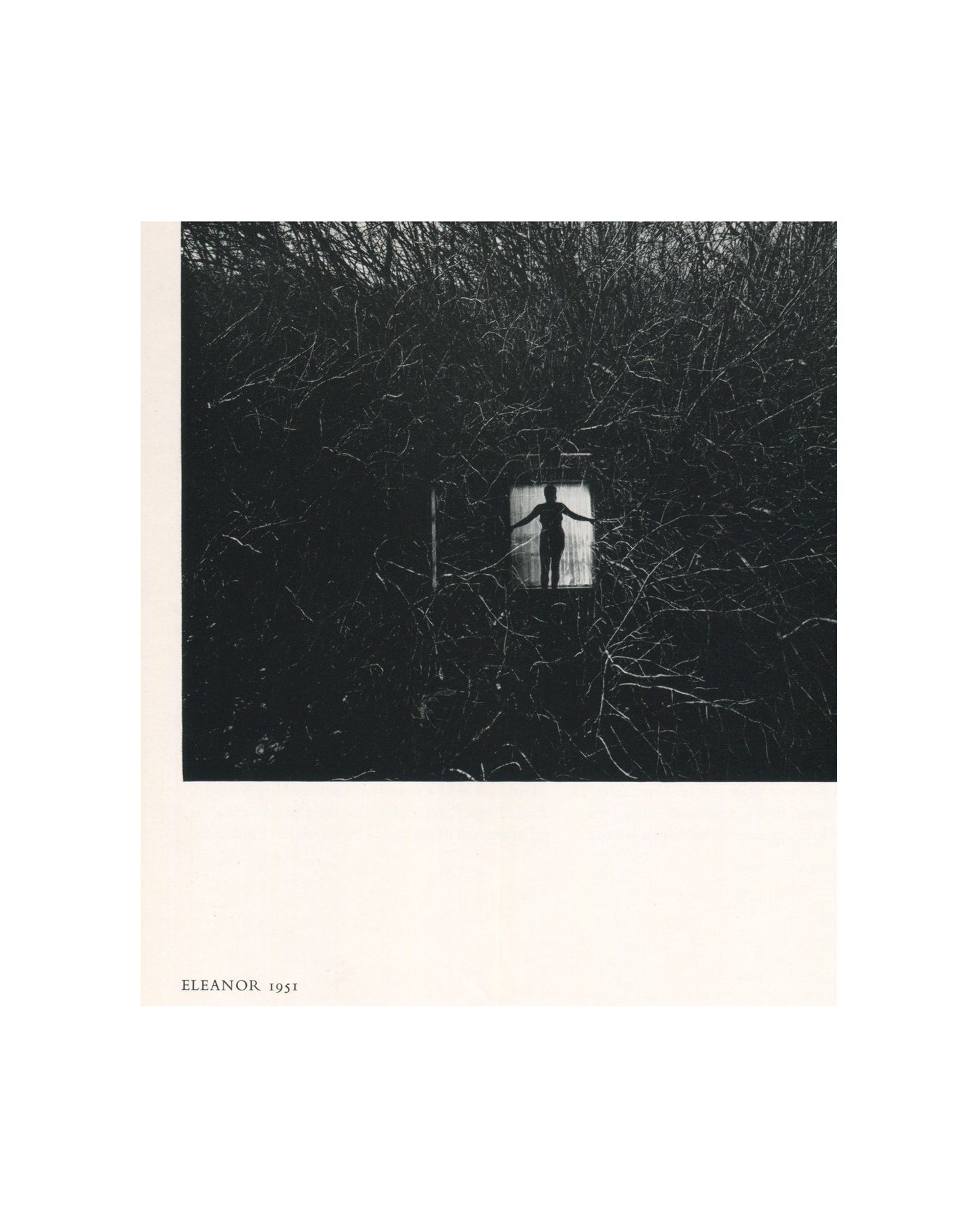 Interior page from 1967 Harry Callahan, Museum of Modern Art. Caption reads 'ELEANOR 1951'. Black-and-white photograph of a small illuminated window set within a dense mass of dark bare branches filling the entire frame, a female silhouette visible inside the window with arms slightly extended.