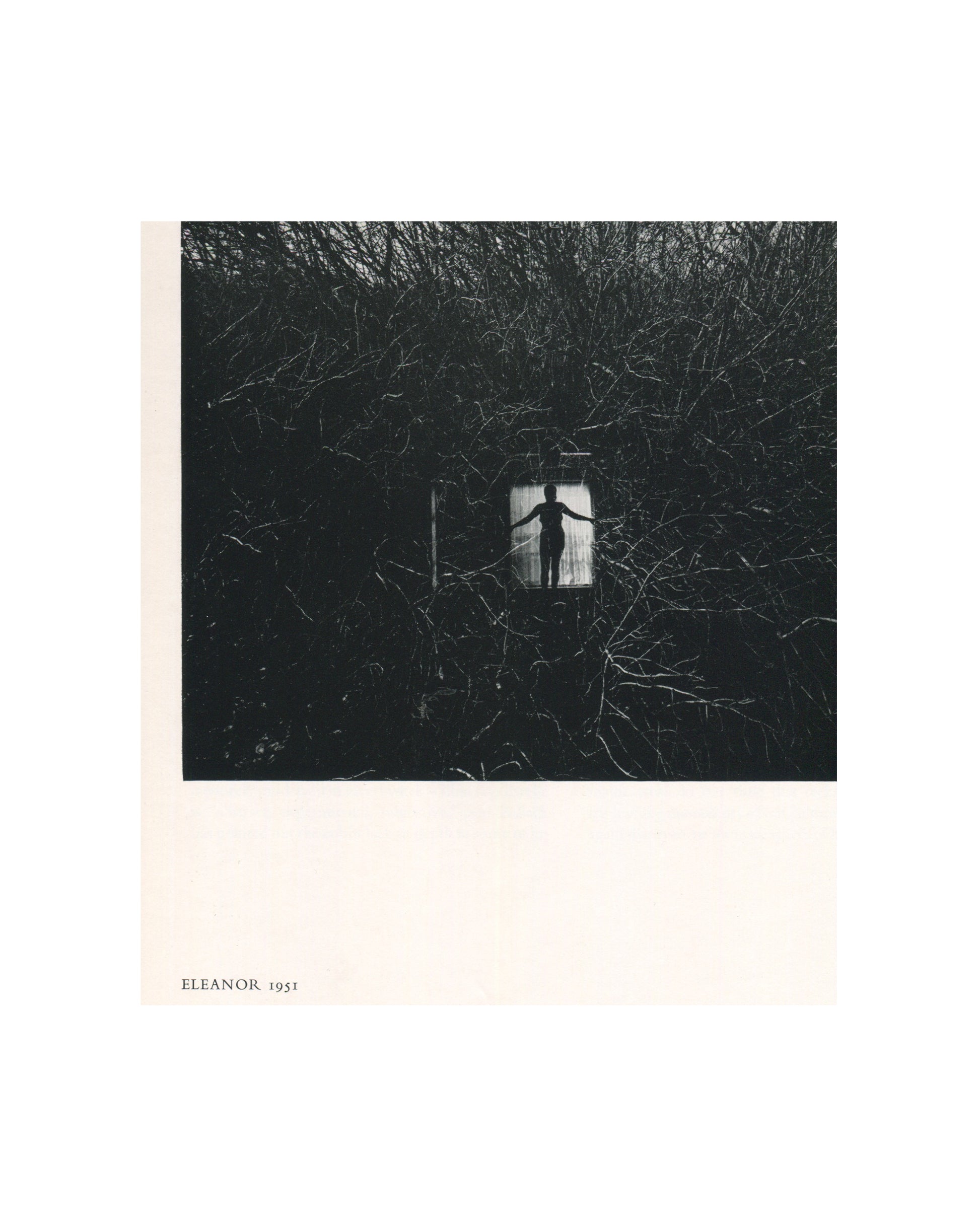 Interior page from 1967 Harry Callahan, Museum of Modern Art. Caption reads 'ELEANOR 1951'. Black-and-white photograph of a small illuminated window set within a dense mass of dark bare branches filling the entire frame, a female silhouette visible inside the window with arms slightly extended.