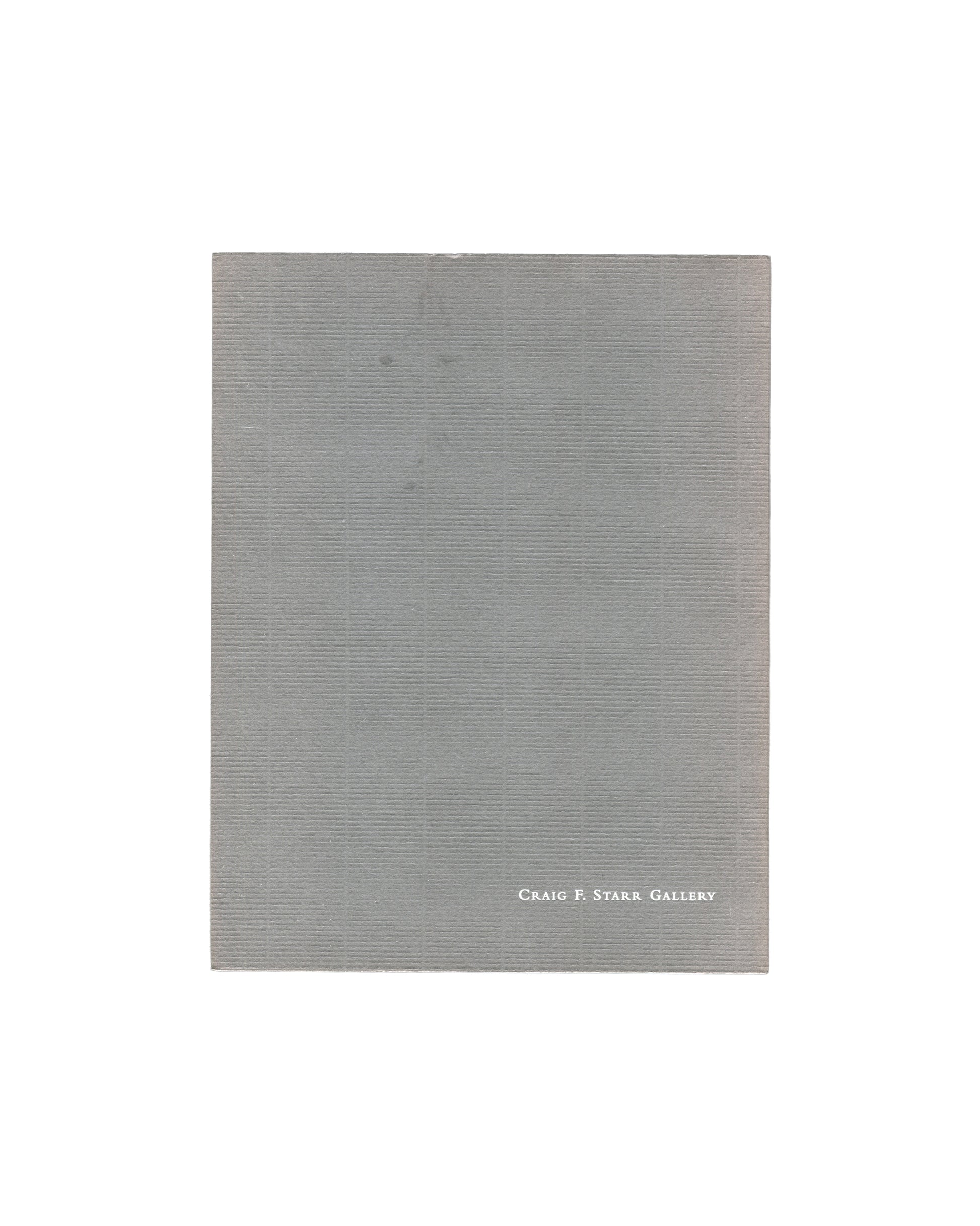 Back Cover: Surface / Infinity: Vija Celmins, Brice Marden, Agnes Martin ribbed grey textured card