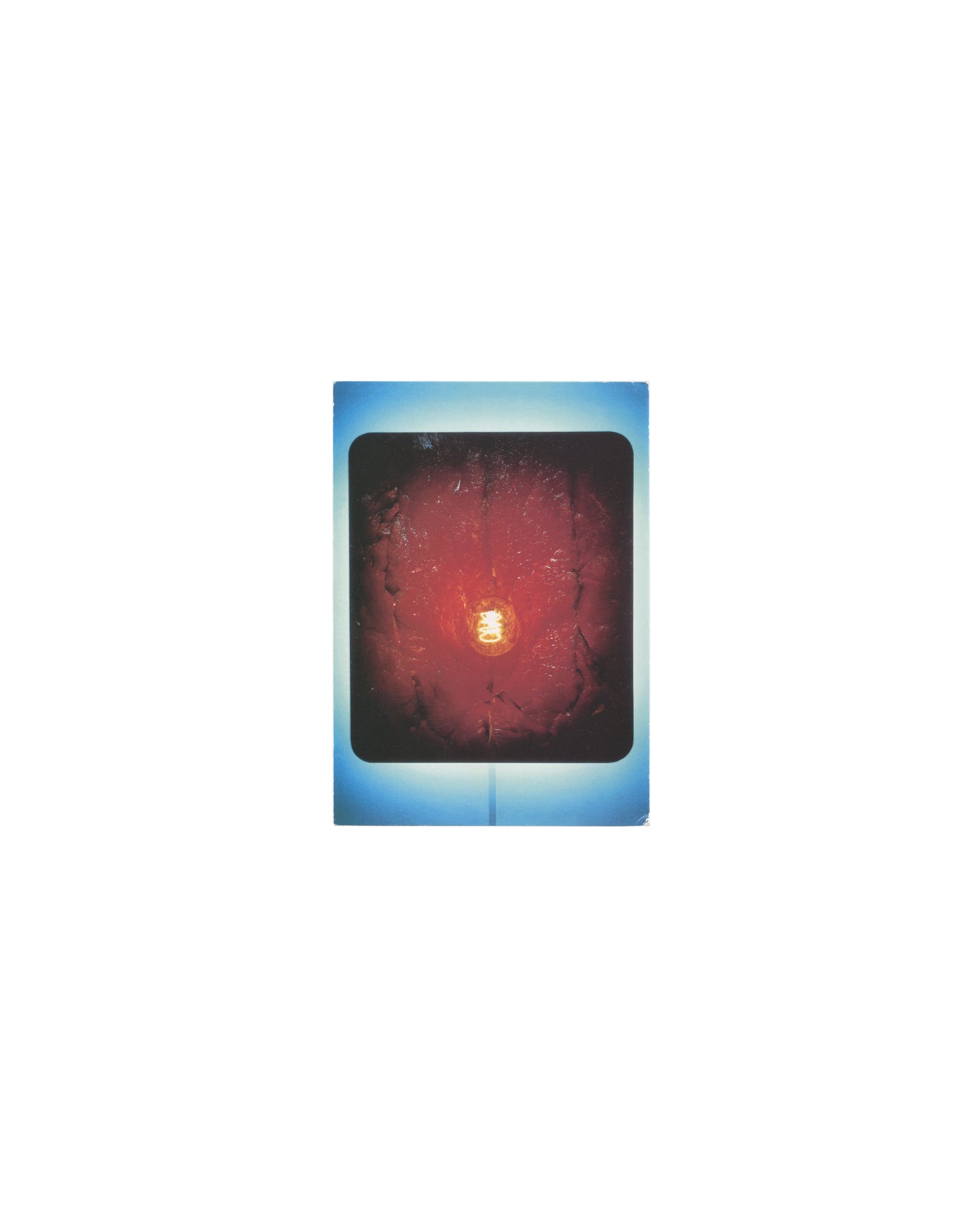 Original 1994 Tate postcard reproducing Helen Chadwick's Enfleshings I, 1989, showing a photographic transparency image: a deep red-orange circular mass of organic matter — raw flesh, viscera, and biological material — arranged around a central glowing light bulb, set against a dark background with a soft blue border characteristic of Tate postcard printing of the period.
