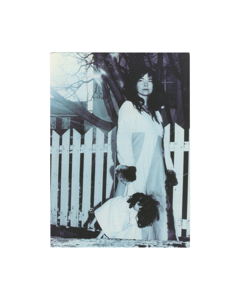 Anton Corbijn, Still Lives, exhibition opening card recto. Torch Gallery, Amsterdam, 2000. Blue-toned black-and-white photograph: a woman with long dark hair stands in a white dress beside a white picket fence, bare winter trees behind her. A second figure in a matching white dress crouches at her feet, face obscured by dark hair. Atmospheric, gothic mood. Image: Anton Corbijn, Björk, Reykjavik, 1999.
