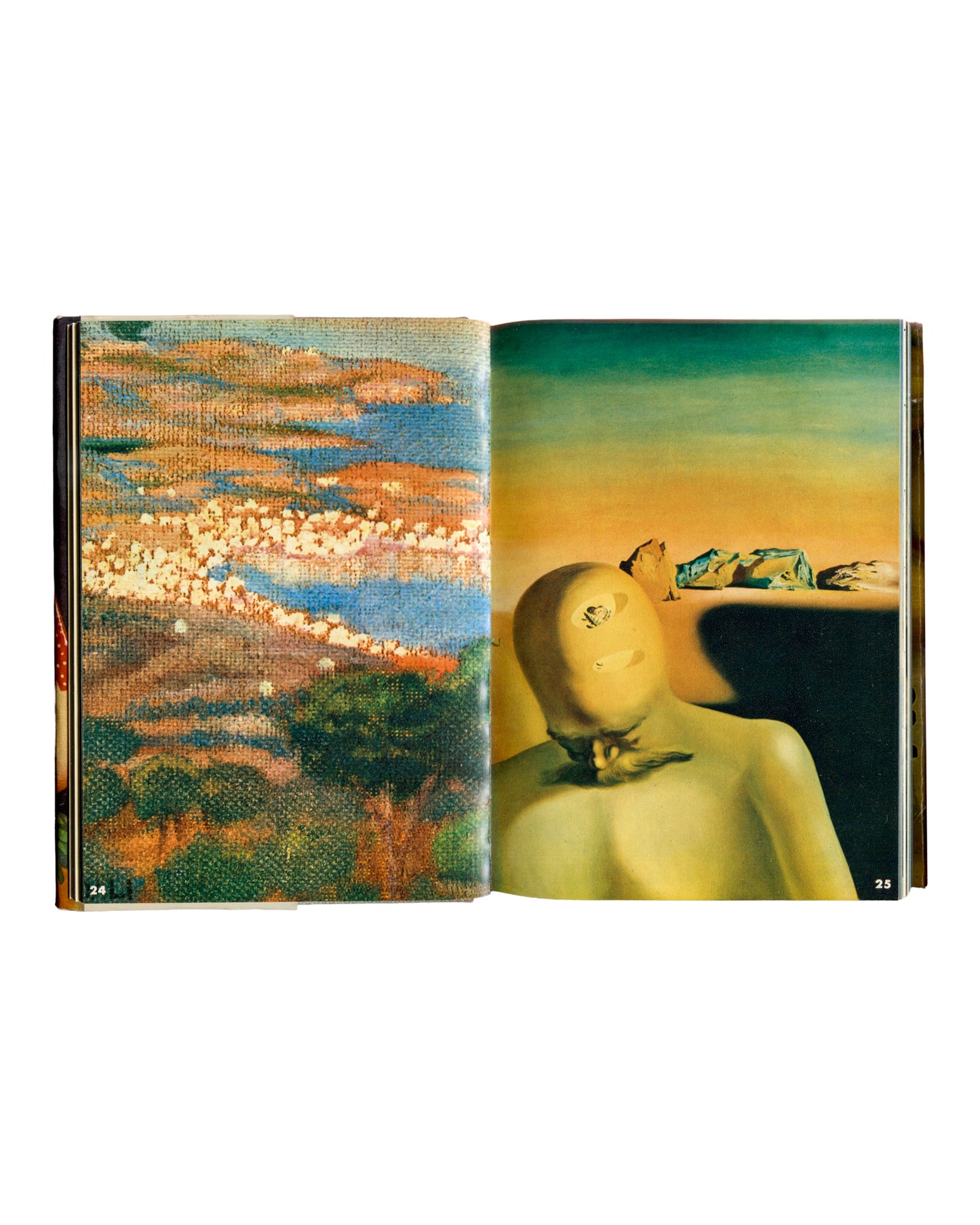Dali by Dali, Salvador Dalí, 1970, pp. 24–25, early coastal landscape beside surrealist painting of faceless yellow figure