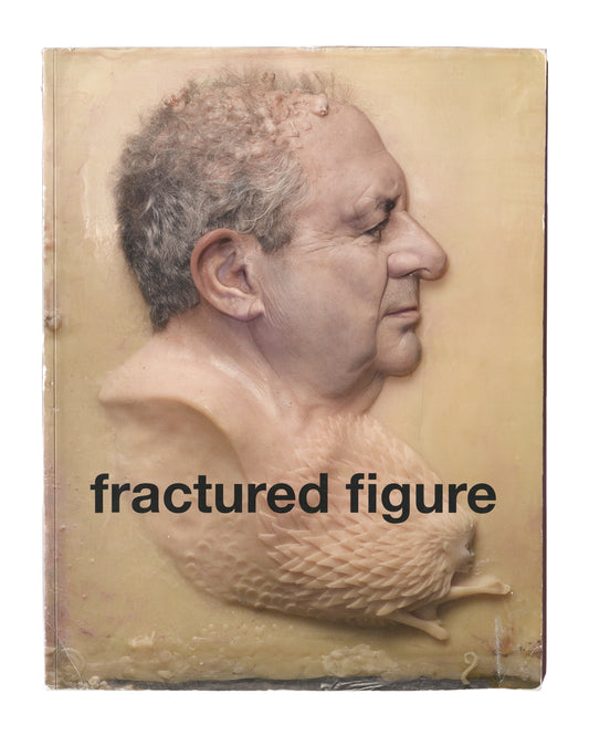 yperrealist painted relief of a male head in right profile, warm flesh tones, bird form at shoulder. Title 'fractured figure' in plain black lowercase type across lower half. 29.21 × 37.46 cm oversized paperback.