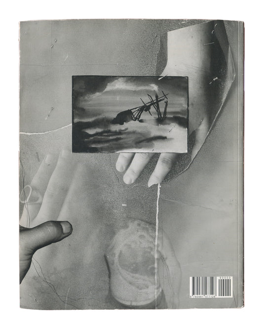 Black-and-white photographic collage of two hands holding a small landscape reproduction, layered over torn paper and circular stain. ISBN 9780981577128 at lower right.