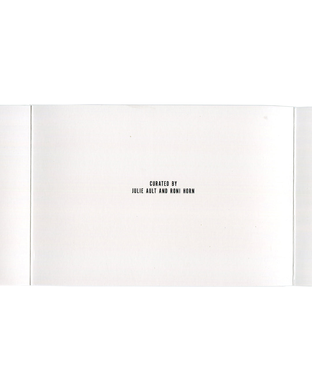 Interior panel showing CURATED BY / JULIE AULT AND RONI HORN in small uppercase lettering centred on white ground.