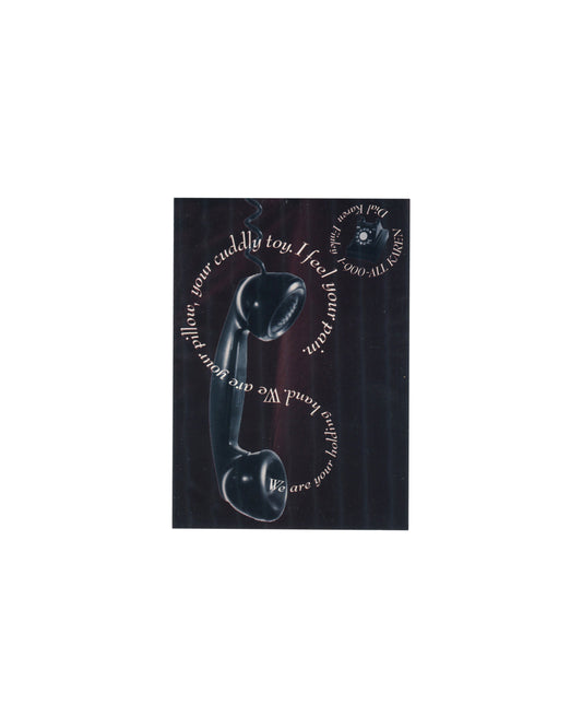 KAREN FINLEY — 1-900-ALL-KAREN, Creative Time, 1998