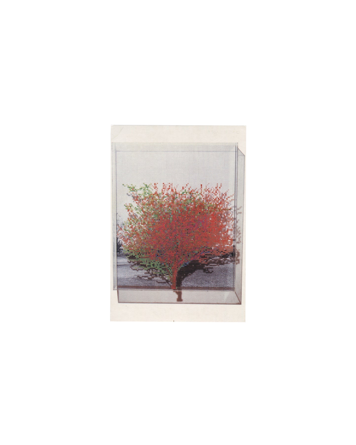 CHARLES GAINES — Rétrospective, 1979–1991, Lavignes-Bastille, Paris, 1991