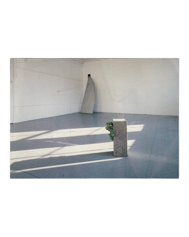 Giovanni Anselmo — Musée d'Art Contemporain, Lyon, 1989