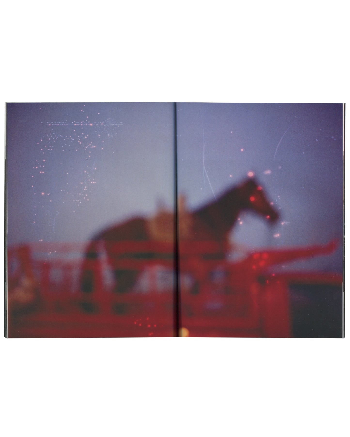 Interior spread from 2017 Nan Goldin, Biesenthal. Full-bleed double-page colour photograph: a dark horse silhouetted against a deep blue-purple dusk sky, standing on or near a red structure, the image heavily out of focus with scattered light points suggesting stars or dust, creating a dreamlike, atmospheric quality.