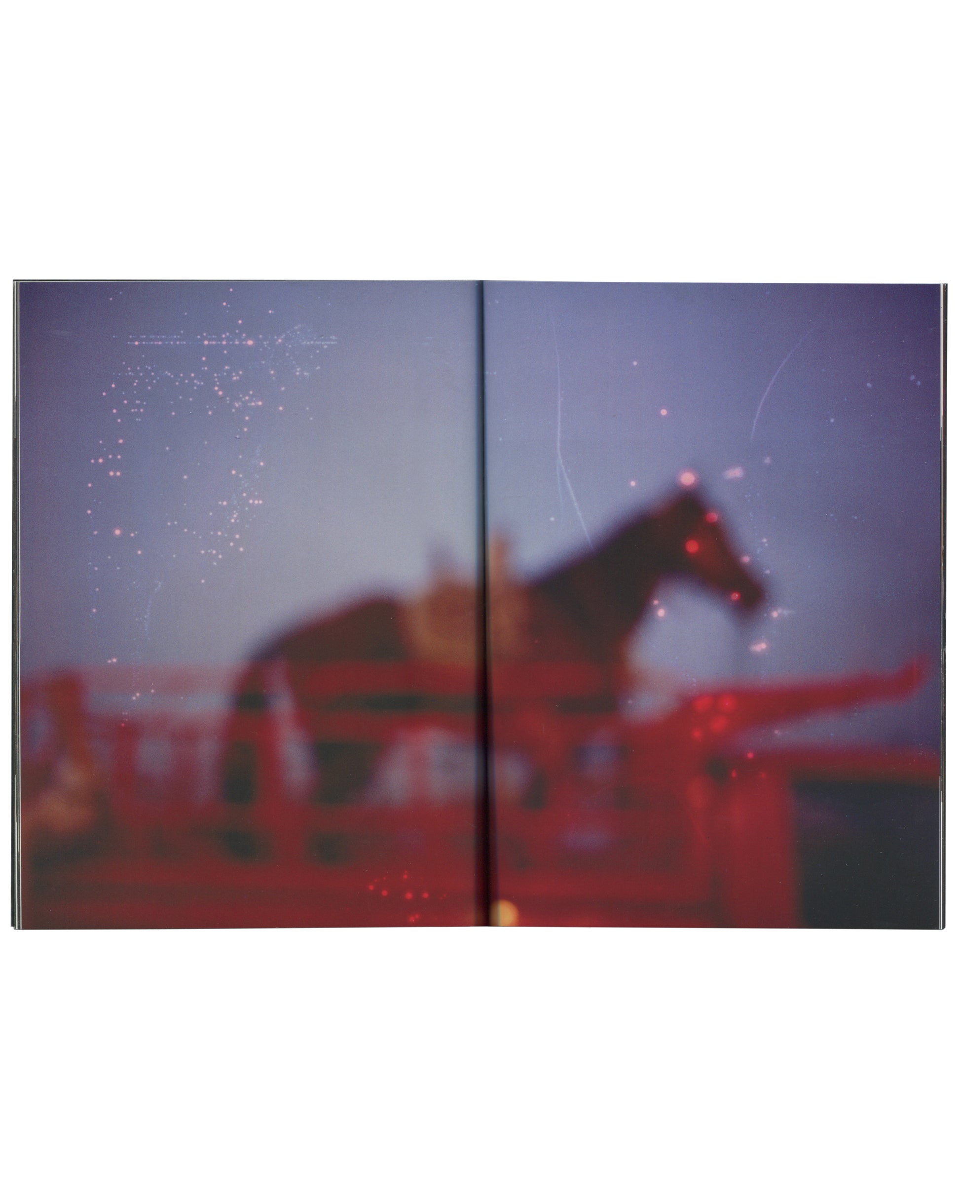 Interior spread from 2017 Nan Goldin, Biesenthal. Full-bleed double-page colour photograph: a dark horse silhouetted against a deep blue-purple dusk sky, standing on or near a red structure, the image heavily out of focus with scattered light points suggesting stars or dust, creating a dreamlike, atmospheric quality.