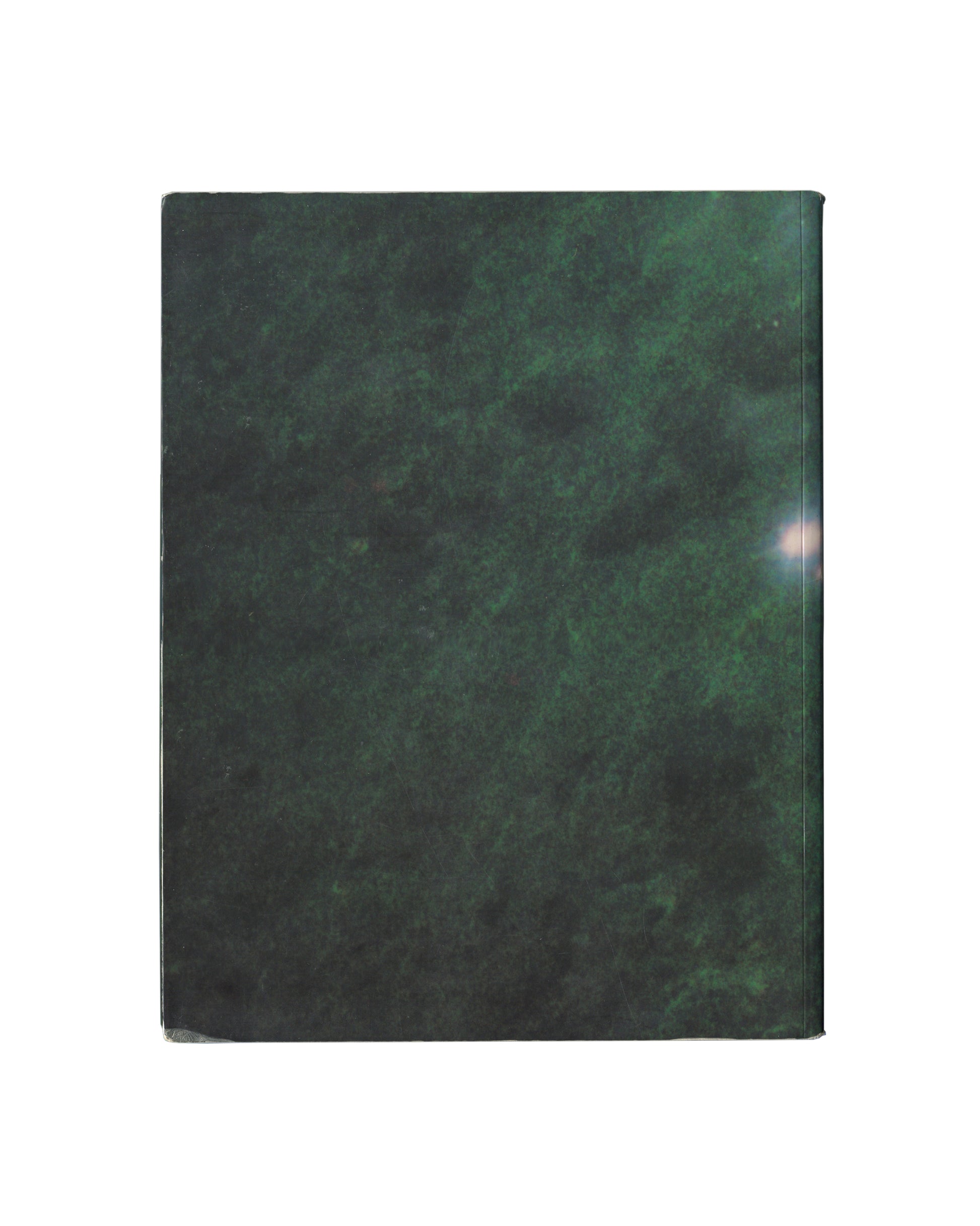 Back cover of the Félix González-Torres catalogue featuring a dark green abstract photographic image with subtle light flare near the edge and a matte, atmospheric surface.