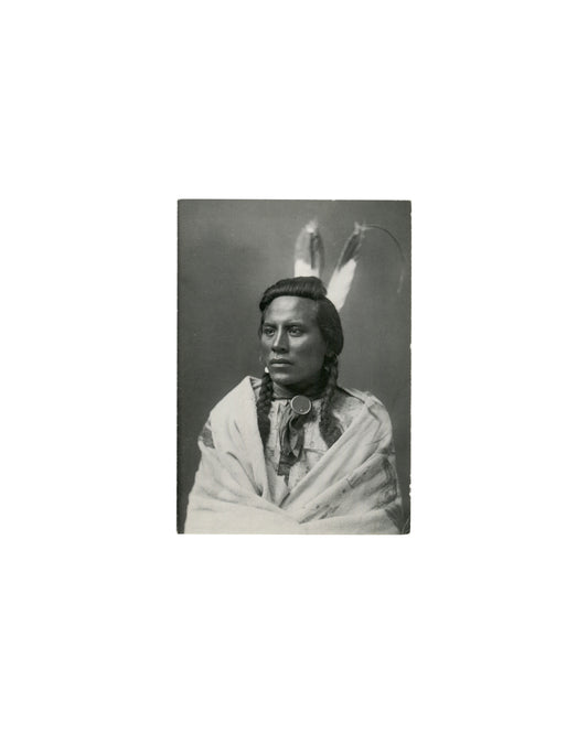 F. Jay Haynes / Frank Jay Haynes, Curley, Crow Indian scout, bust portrait, 1883