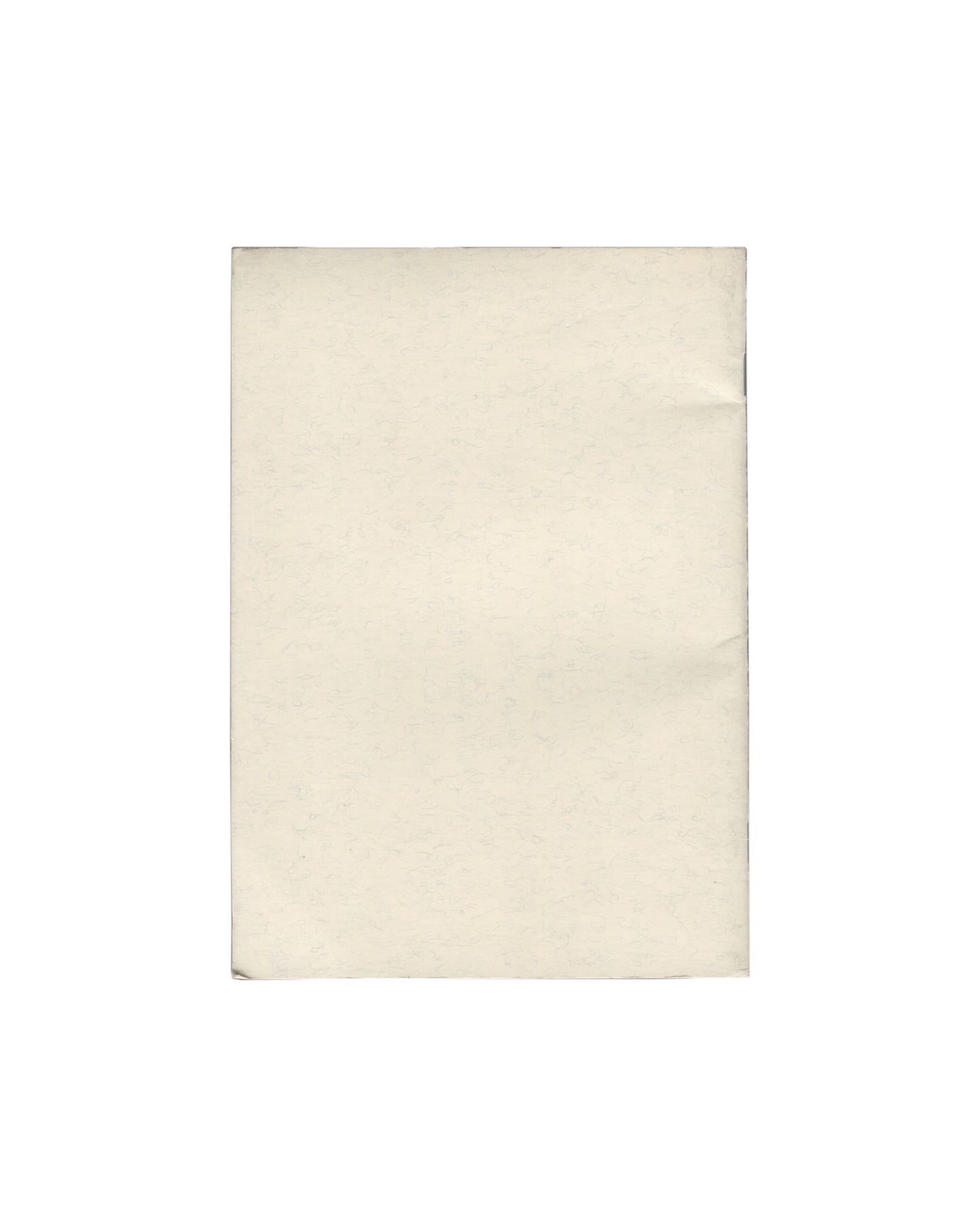 Cover (back shown — plain wrappers) Exhibition catalogue, Fiasco, Art : Concept, Nice, 1992. Cover: plain unprinted off-white textured card wrappers. No text or image on front. Light age toning and handling visible. Saddle-stitched binding.
