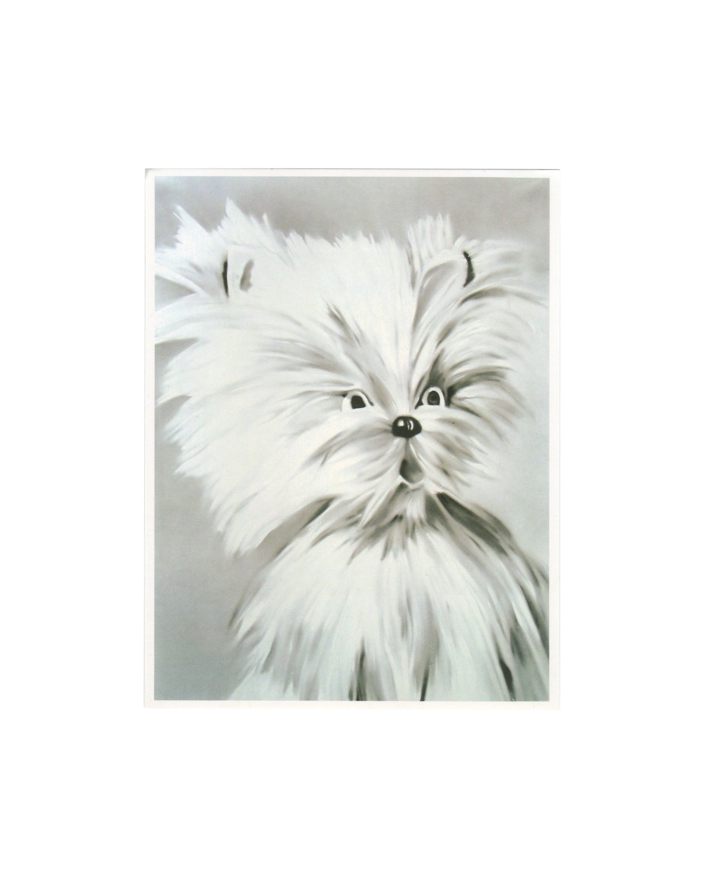 Original 2006 Edition5 artist postcard reproducing Martin Kippenberger's painting Ohne Titel, 1981, from the Lieber Maler, male mir series, showing a large-format close-up of a fluffy white dog painted in acrylic on canvas, the animal's face filling the composition with wide dark eyes and a black nose, the fur rendered in loose gestural strokes of white and grey against a pale grey background, the image combining sentimental subject matter with the deliberate commercial execution characteristic of the serie