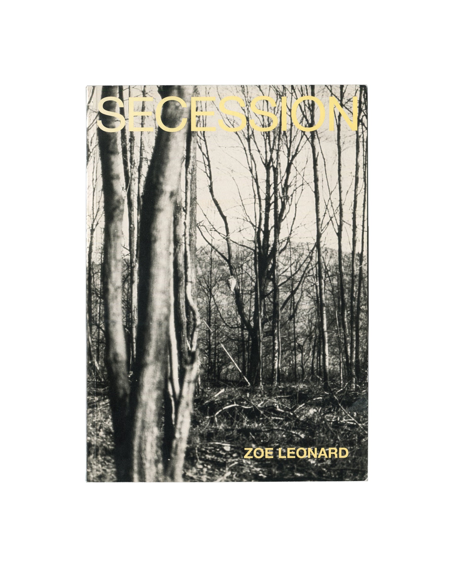 Cover of Zoe Leonard, Secession, Wiener Secession, Vienna, 1997, showing a black-and-white photograph of bare winter trees in a forest with the title SECESSION in large pale yellow sans-serif capitals at upper left and ZOE LEONARD in the same type at lower right.
