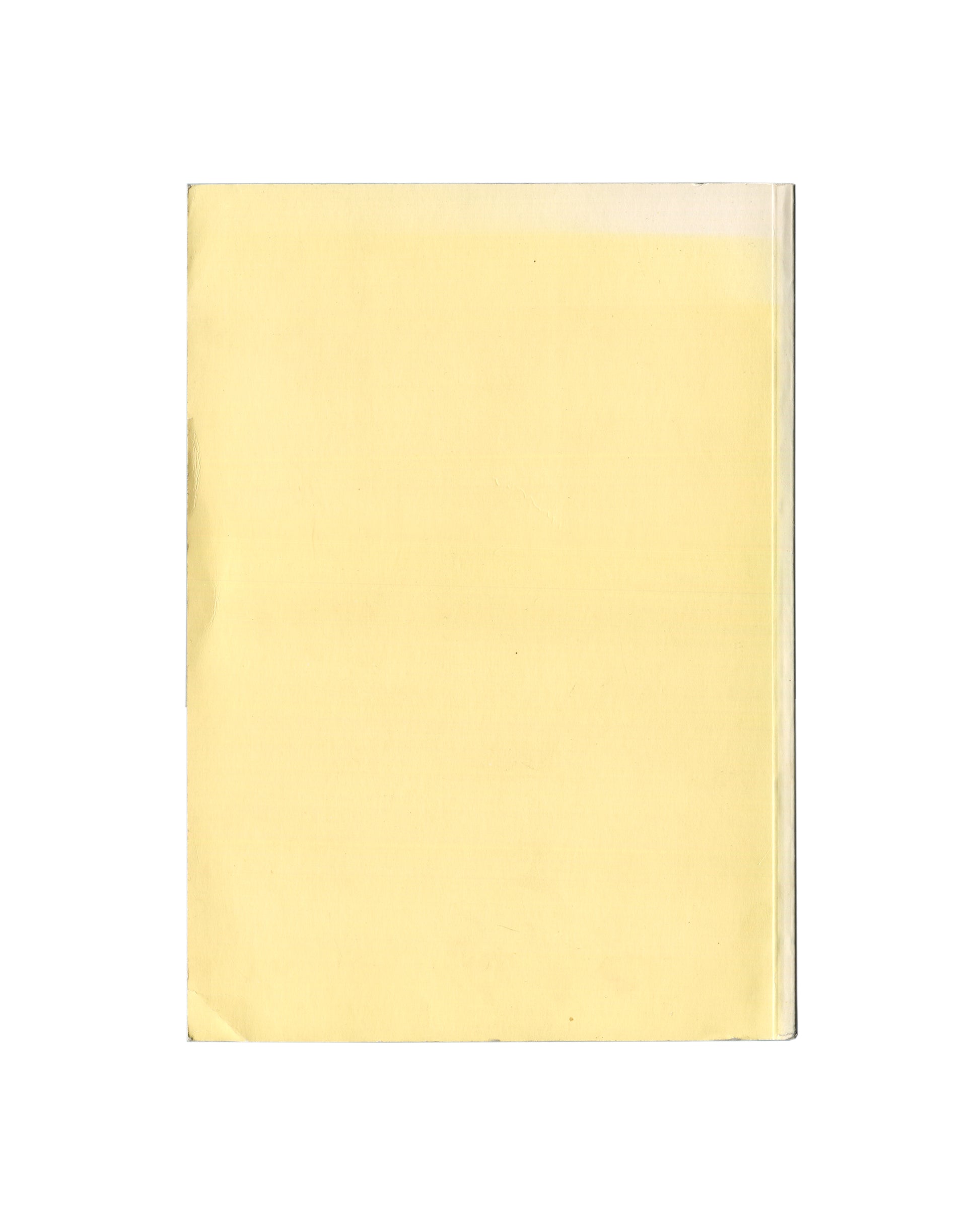 Reverse of Zoe Leonard, Secession, Wiener Secession, Vienna, 1997, showing a plain pale yellow cover with no text or imagery, the colour matching the title typography on the front.