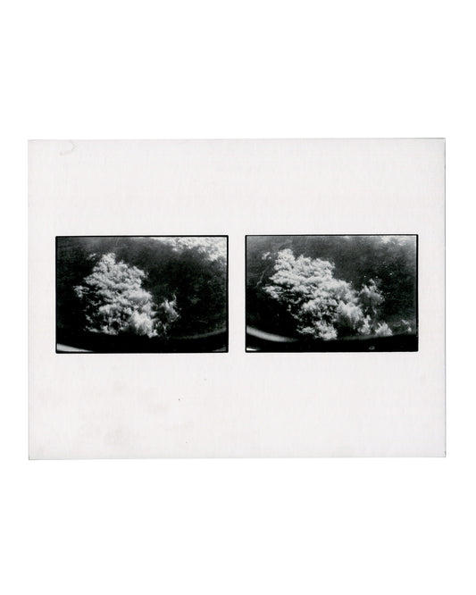 ZOE LEONARD — Aerials. Hauser & Wirth, London, 2018