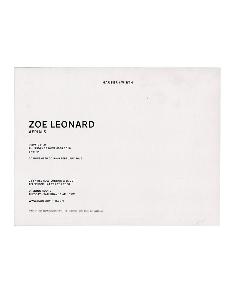 ZOE LEONARD — Aerials. Hauser & Wirth, London, 2018