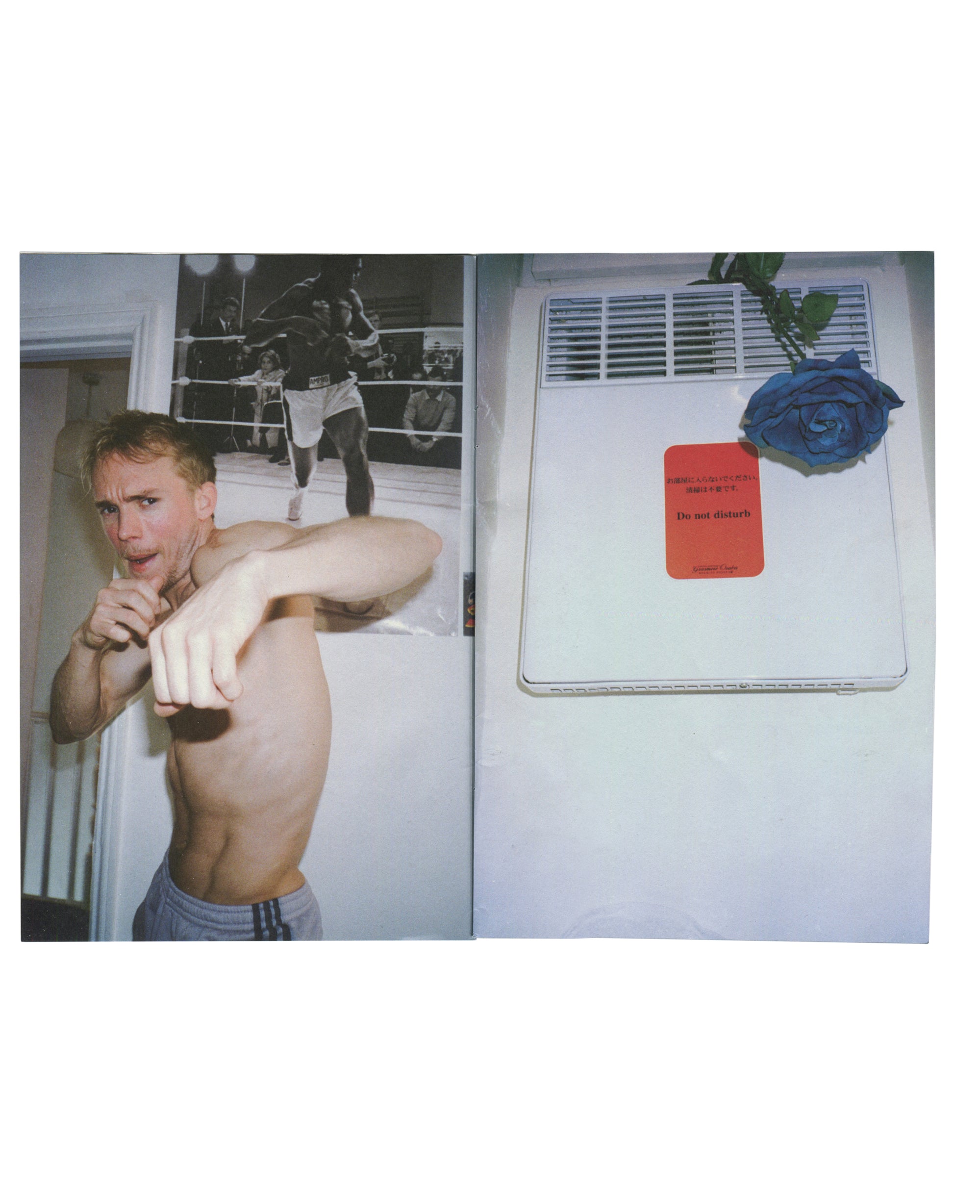 interior spread — left: colour photograph, shirtless blond man in boxing pose, black-and-white boxing match photograph on wall behind; right: colour photograph, white radiator with blue rose and red hotel "Do not disturb" card on top