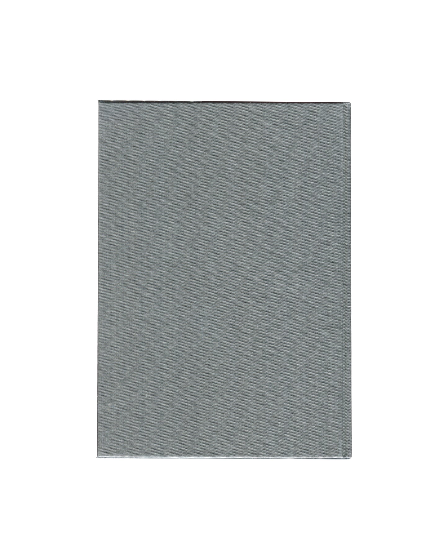 Urs Lüthi, Bonner Kunstverein, Ritter Verlag 1993, back cover, plain grey cloth boards, clear jacket 