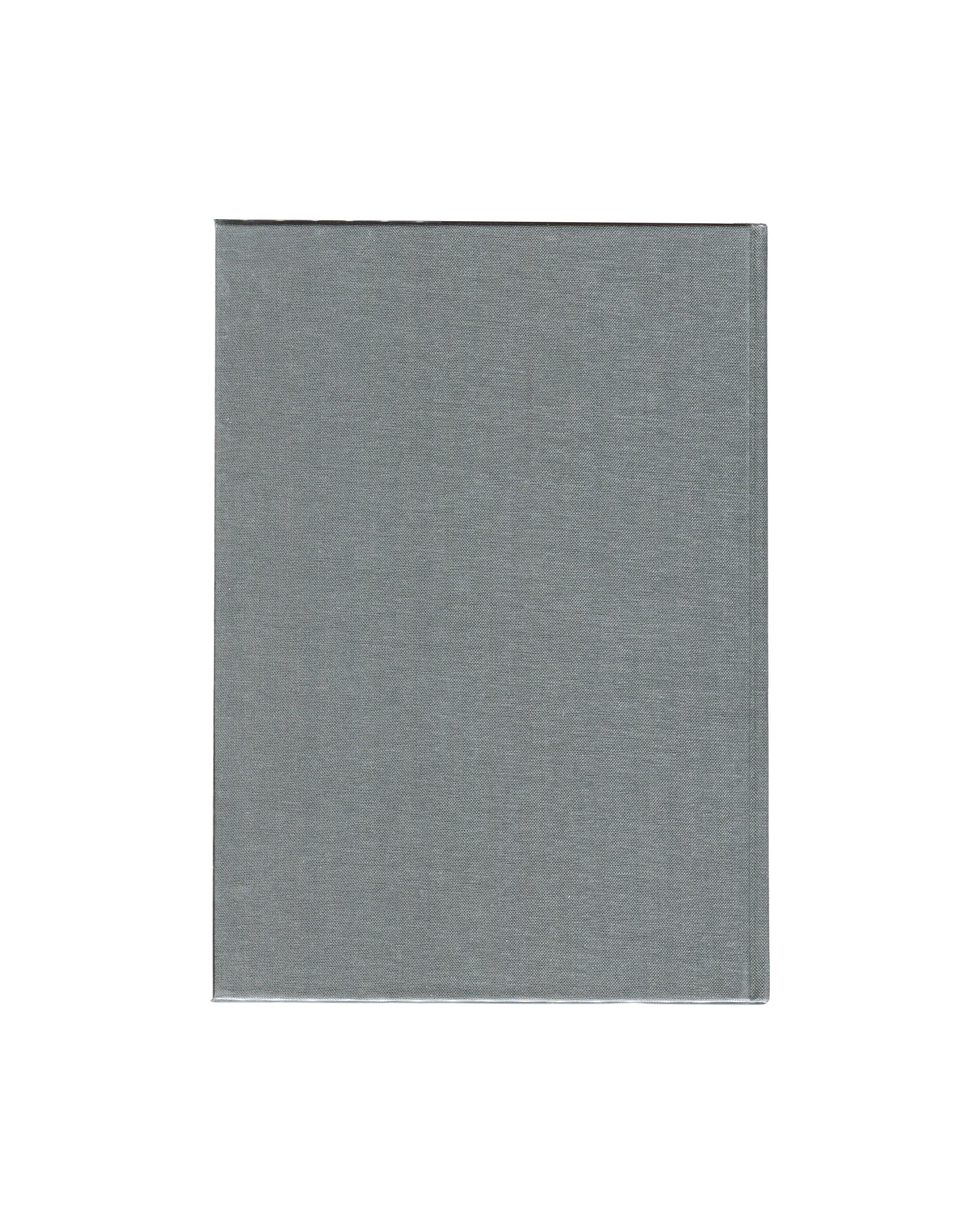 Urs Lüthi, Bonner Kunstverein, Ritter Verlag 1993, back cover, plain grey cloth boards, clear jacket 